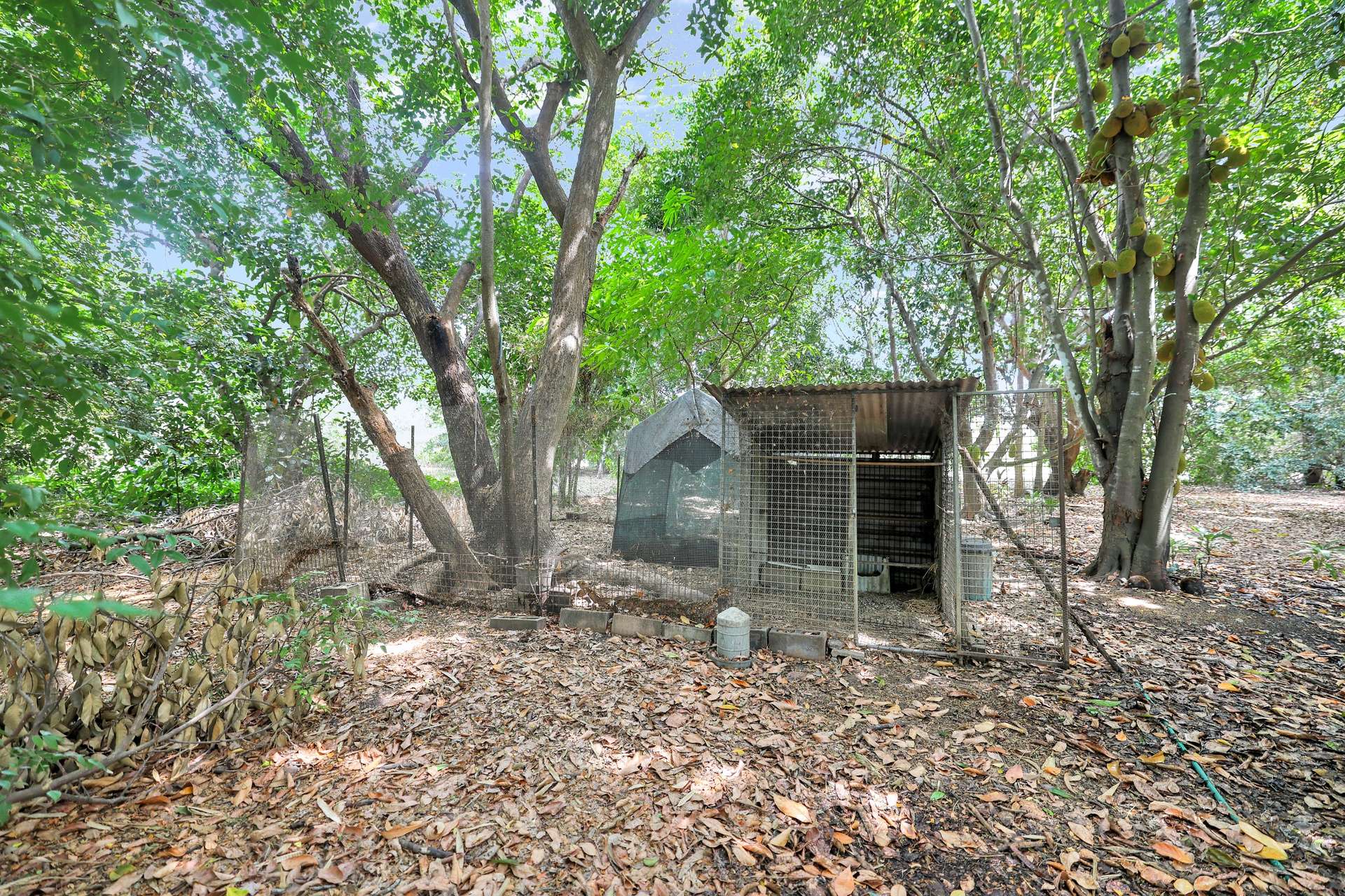 600 Mocatto Road, Acacia Hills Sold by Farmbuy.com - image 33
