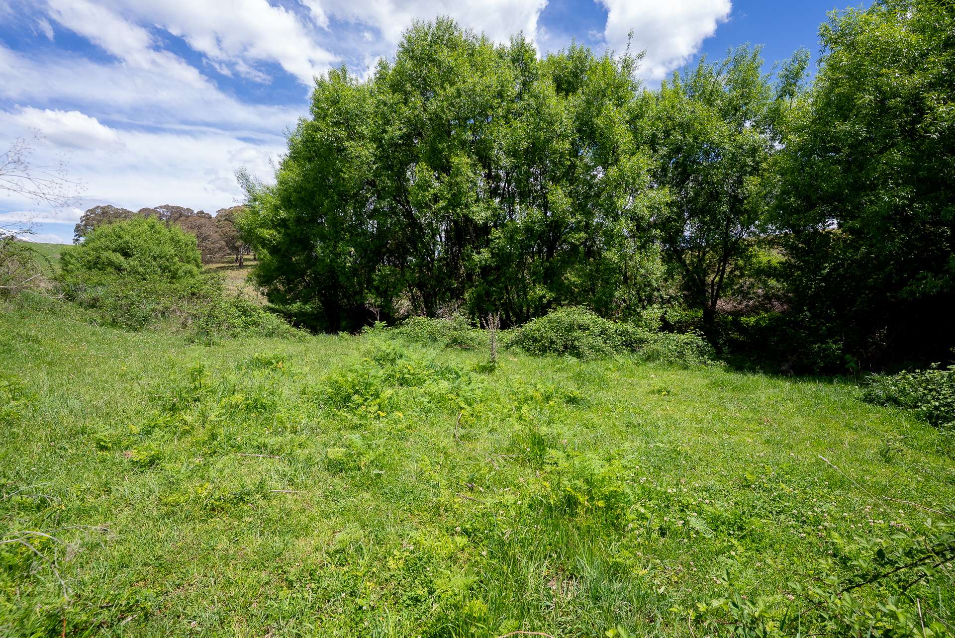 1105 - 1107 O'Connell Road, Oberon Sold by Farmbuy.com - image 19