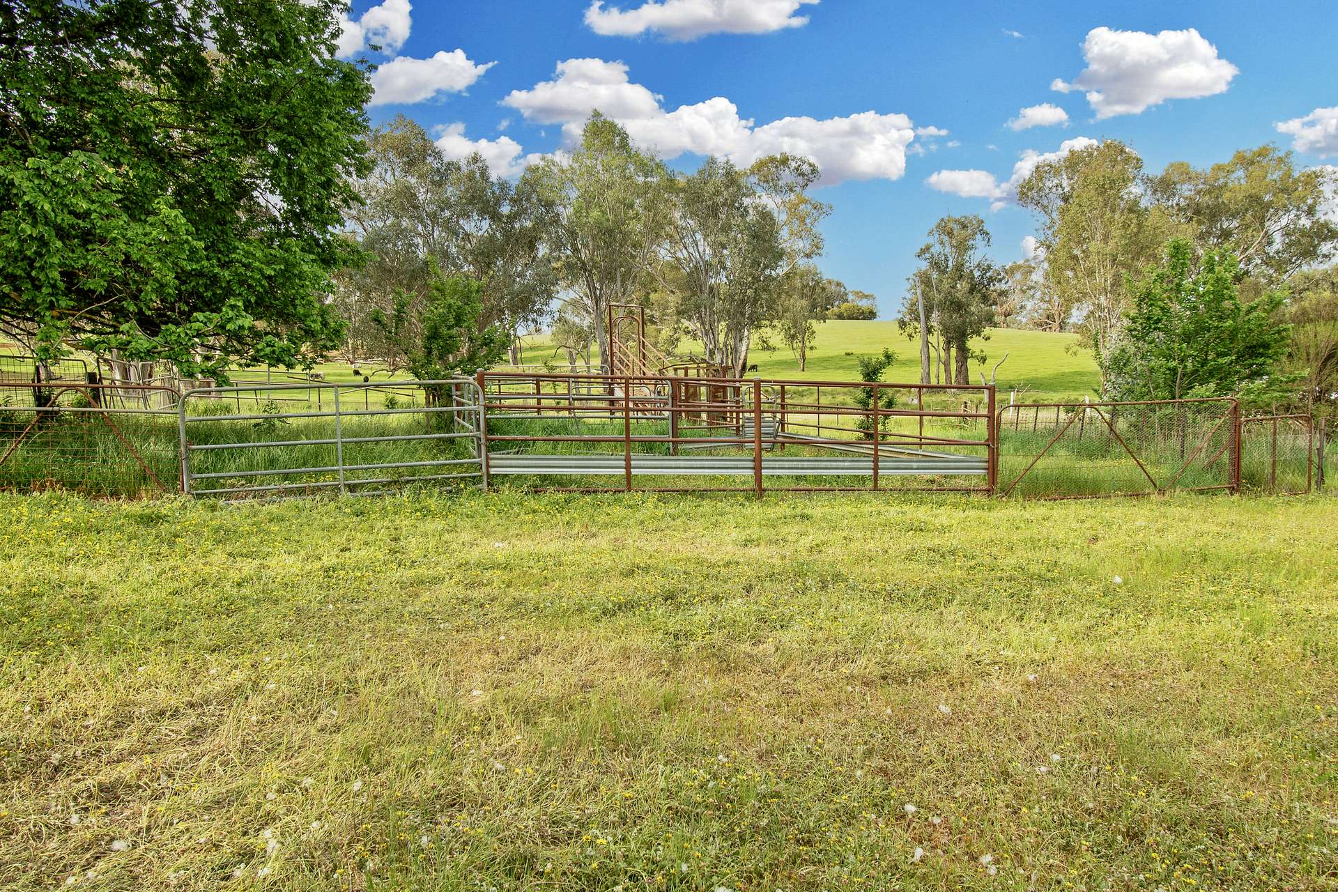 610 Mirrabooka Road, Little Billabong Via, Holbrook Sold by Farmbuy.com - image 11