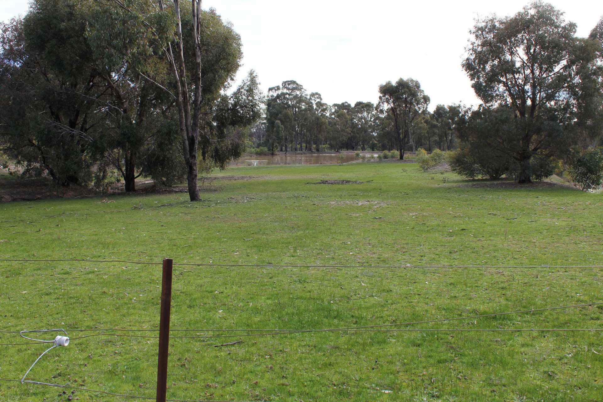 1157 Dookie-Violet Town Road, Earlston Sold by Farmbuy.com - image 34