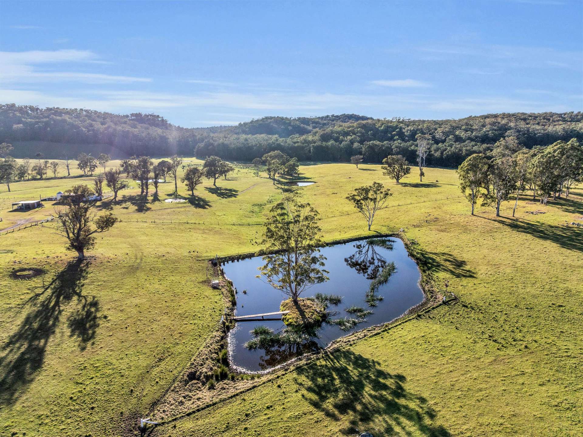 154 Jersey Place, Cobargo For Sale by Farmbuy.com - image 5
