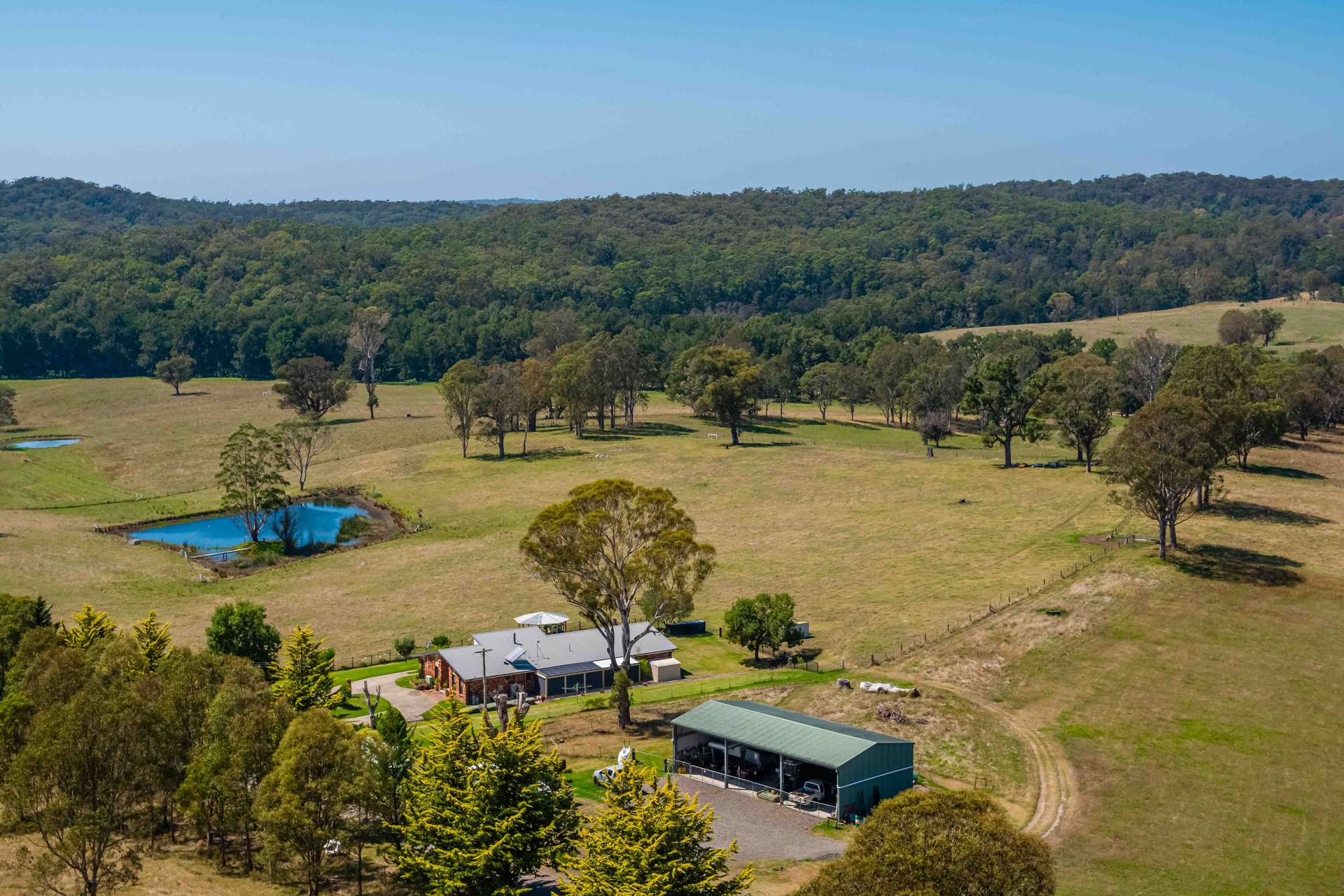 154 Jersey Place, Cobargo For Sale by Farmbuy.com - image 13