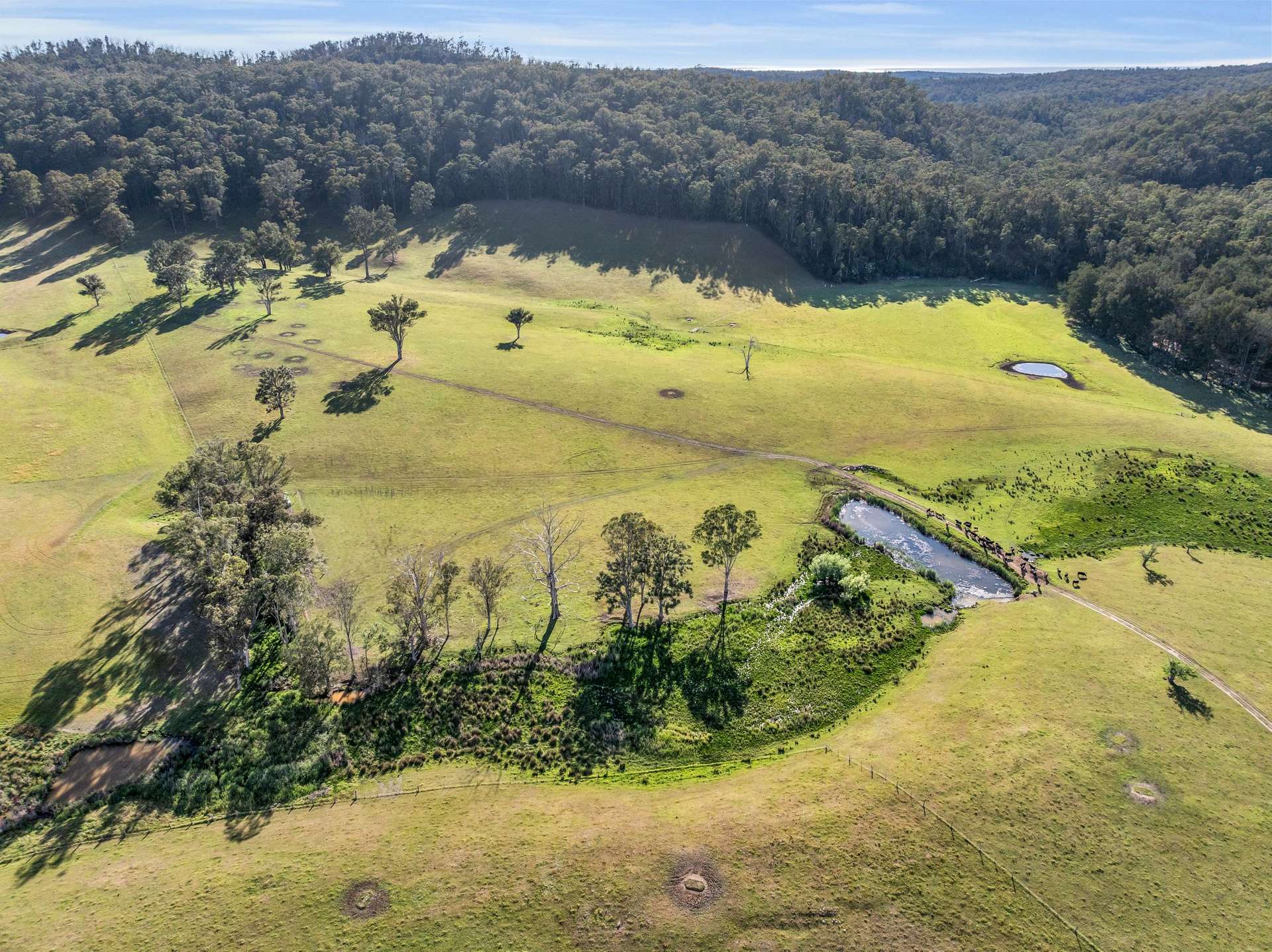 154 Jersey Place, Cobargo For Sale by Farmbuy.com - image 10