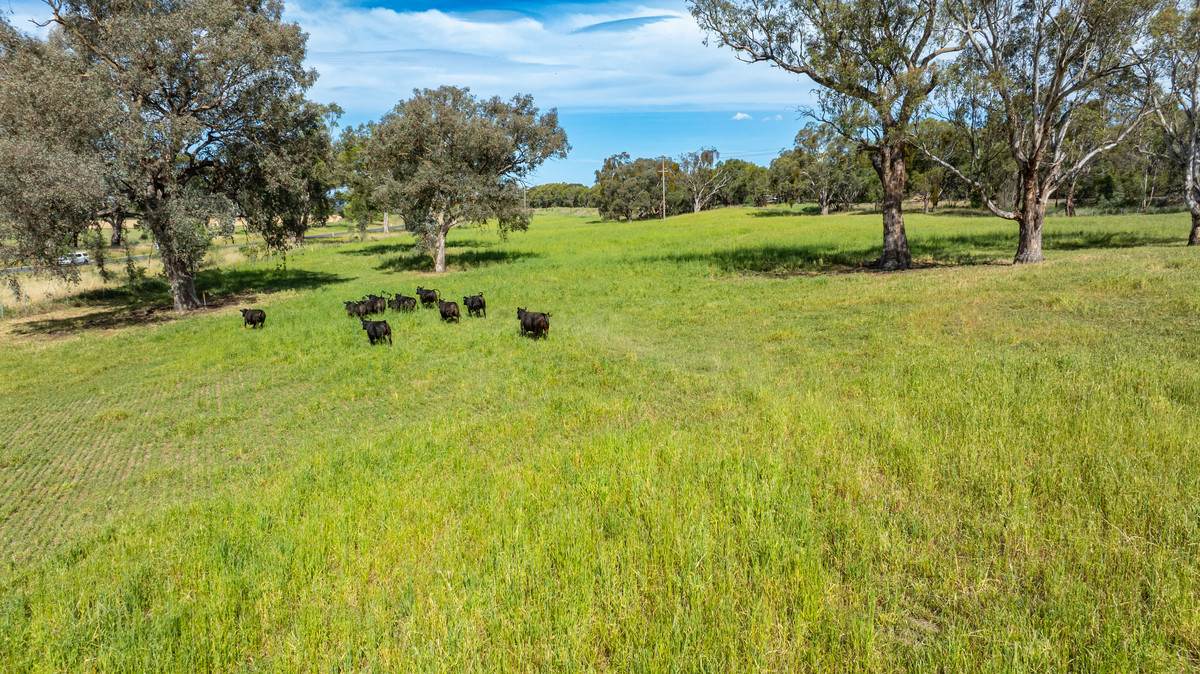 651 Old Barnawartha Road, Barnawartha North Sold by Farmbuy.com - image 19