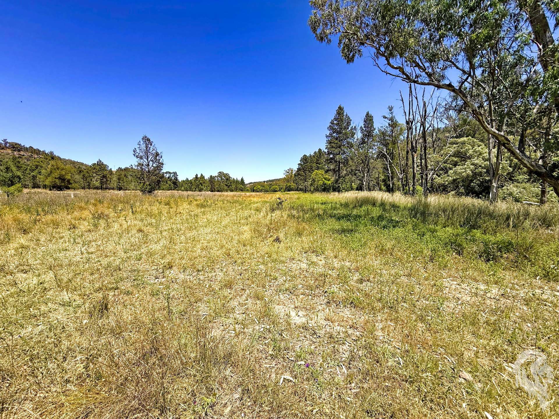 1038 Upper Maules Creek Road, Maules Creek Sold by Farmbuy.com - image 8