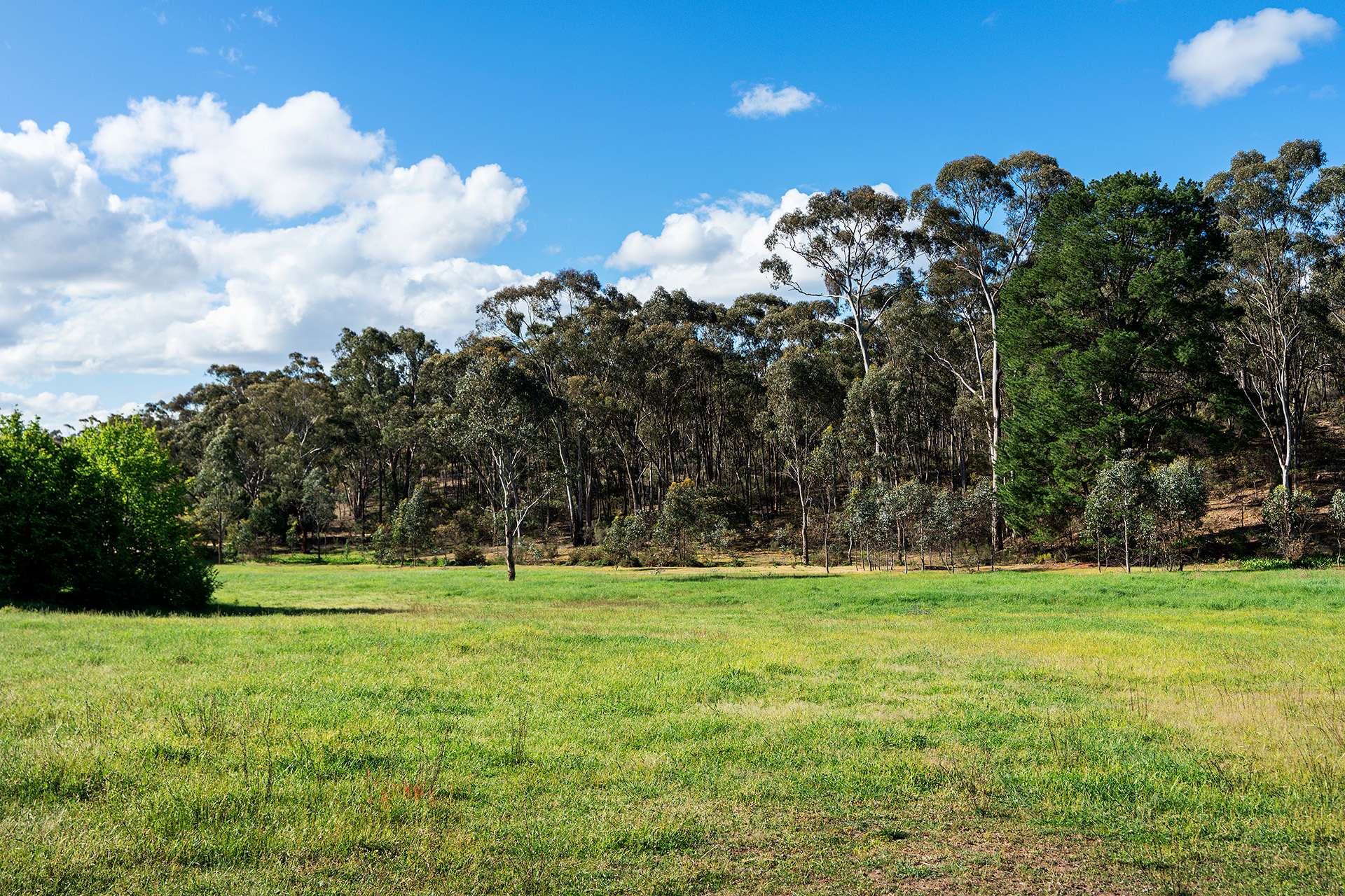 Lot 2, 222 Blakeley Road, Castlemaine For Sale by Farmbuy.com - image 8