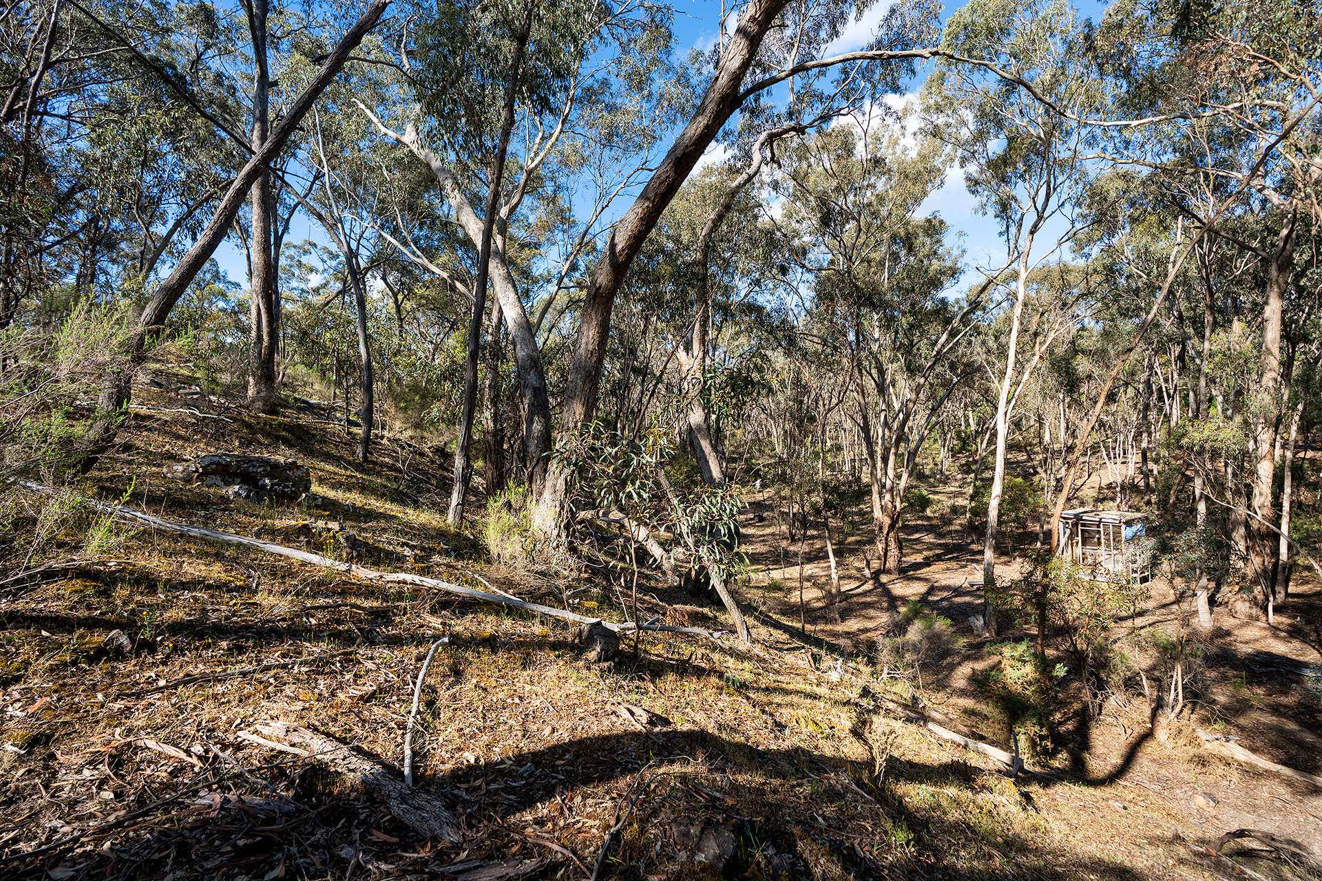 Lot 2, 222 Blakeley Road, Castlemaine For Sale by Farmbuy.com - image 11