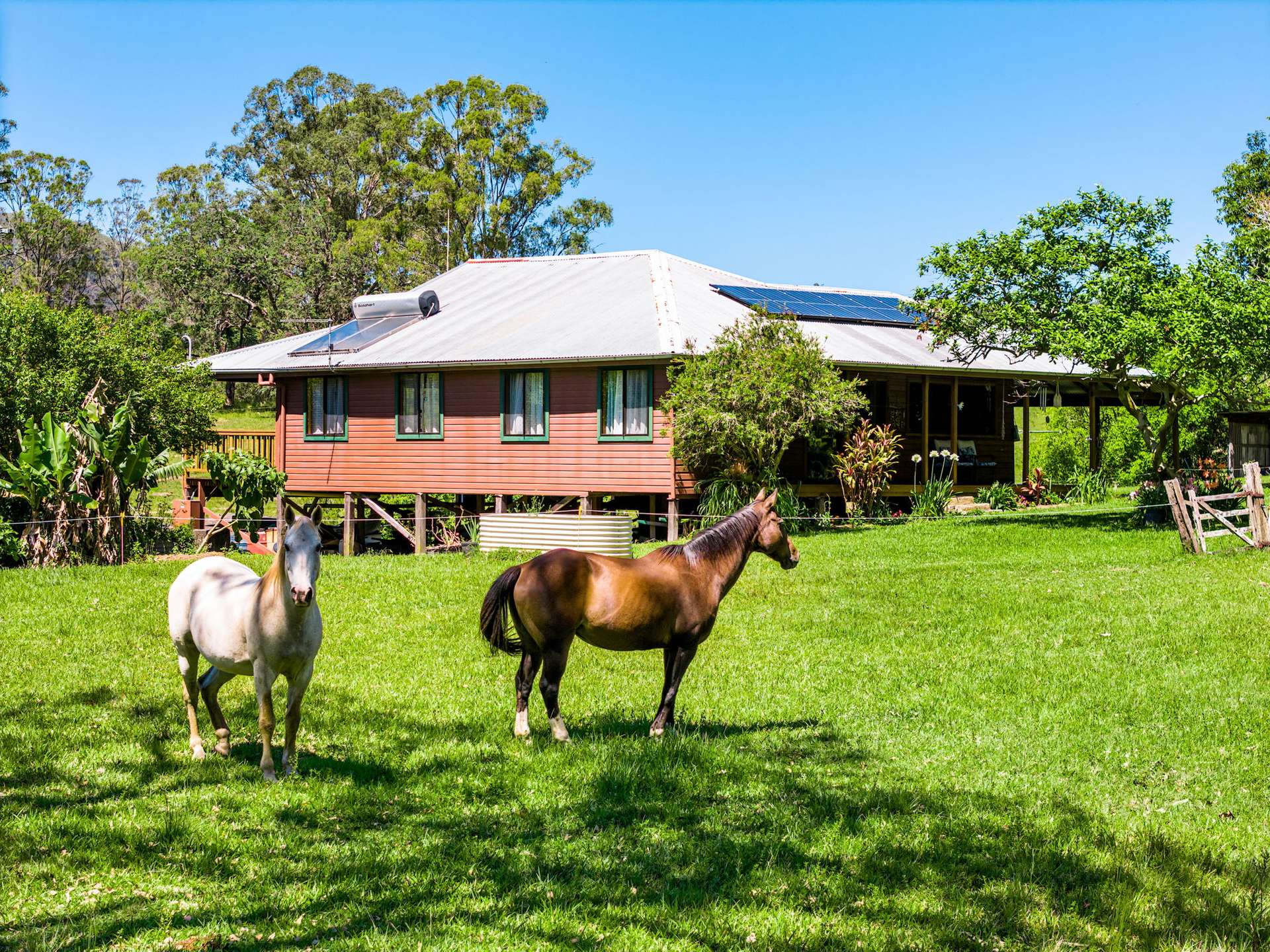 257 Creegans Road, Barkers Vale Sold by Farmbuy.com - image 17