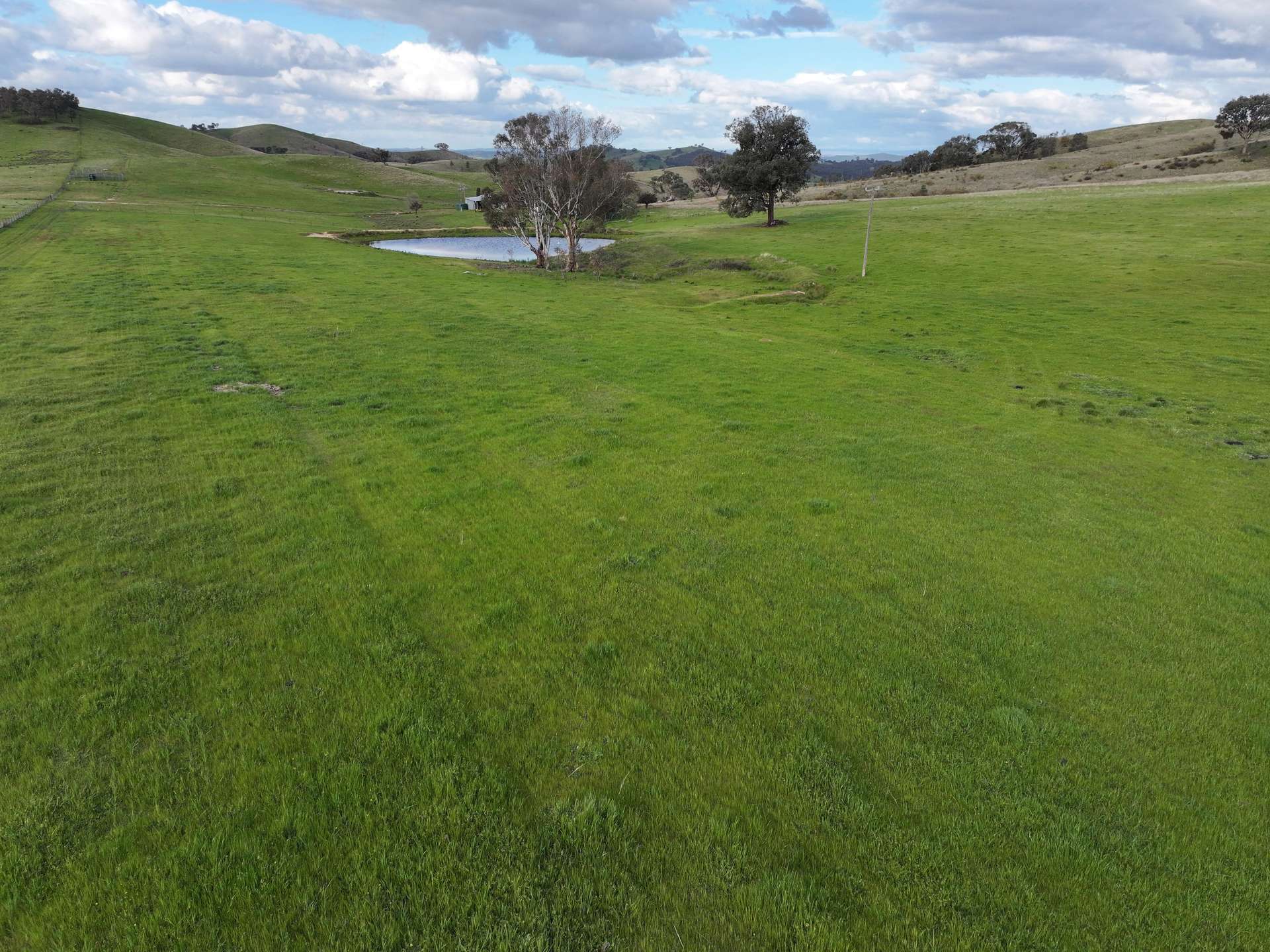 'Rosewood' 850 Pulletop Road, Big Springs For Sale by Farmbuy.com - image 1