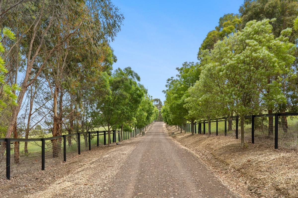 65 Coalmine Road, Winchelsea For Sale by Farmbuy.com - image 5