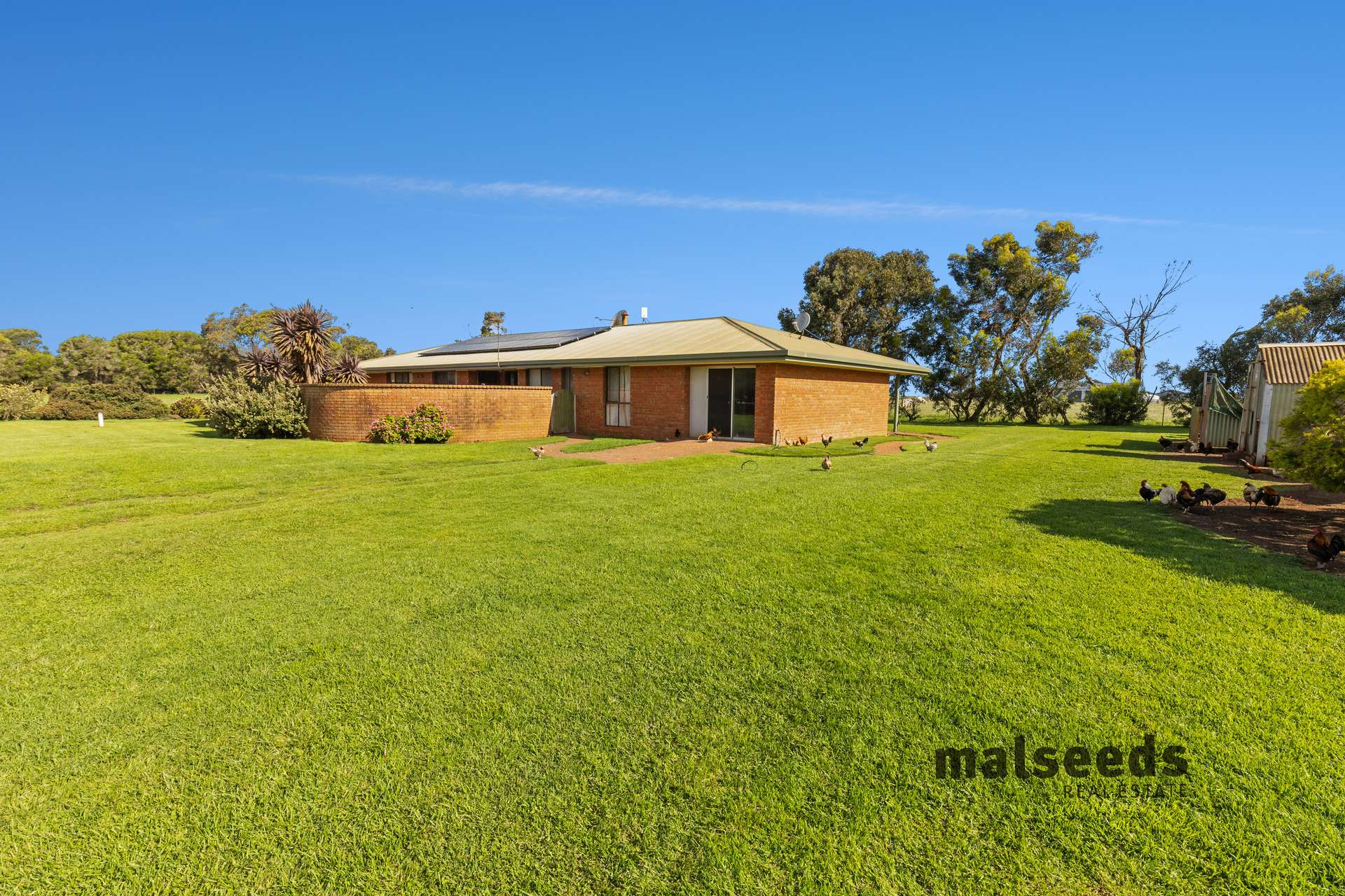 23232 Riddoch Highway, Allendale East Sold by Farmbuy.com - image 2