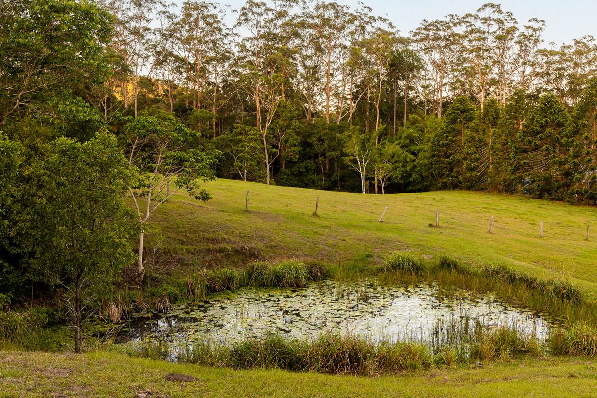 79 Isambert Road, Glenview For Sale by Farmbuy.com - image 30