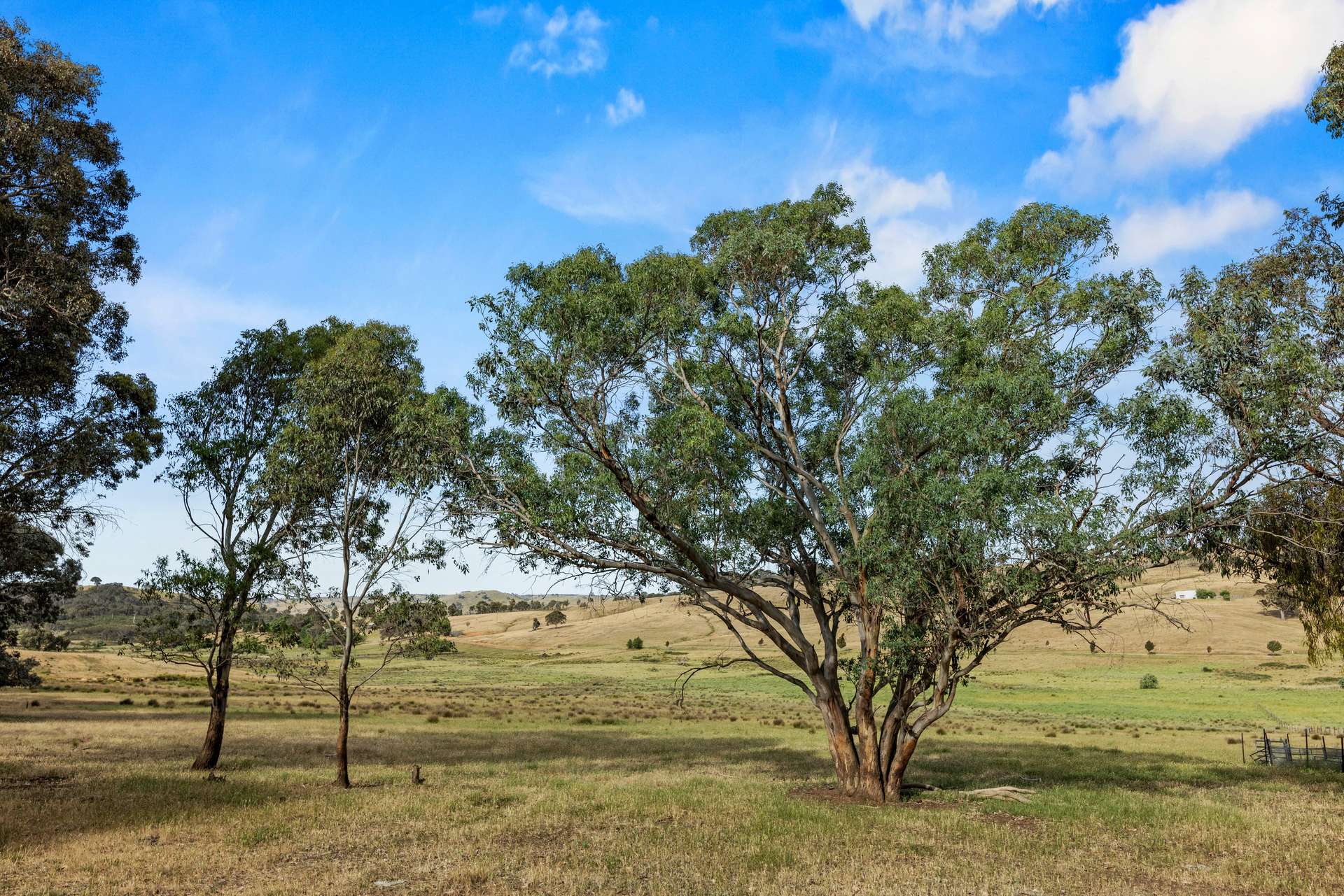 Lot 38 Gentle Destiny Road, Boorowa Sold by Farmbuy.com - image 29