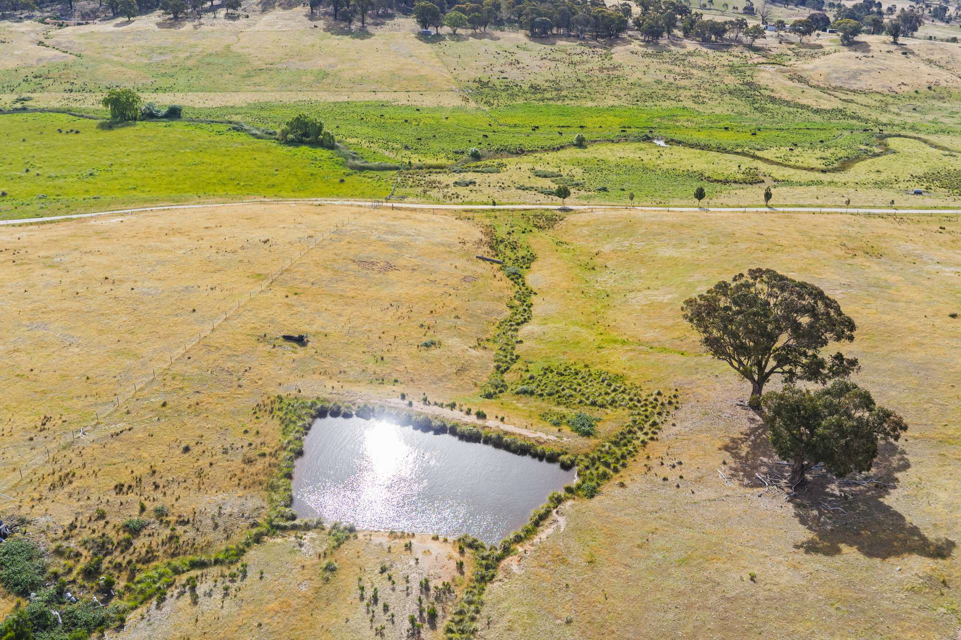 Lot 38 Gentle Destiny Road, Boorowa Sold by Farmbuy.com - image 21