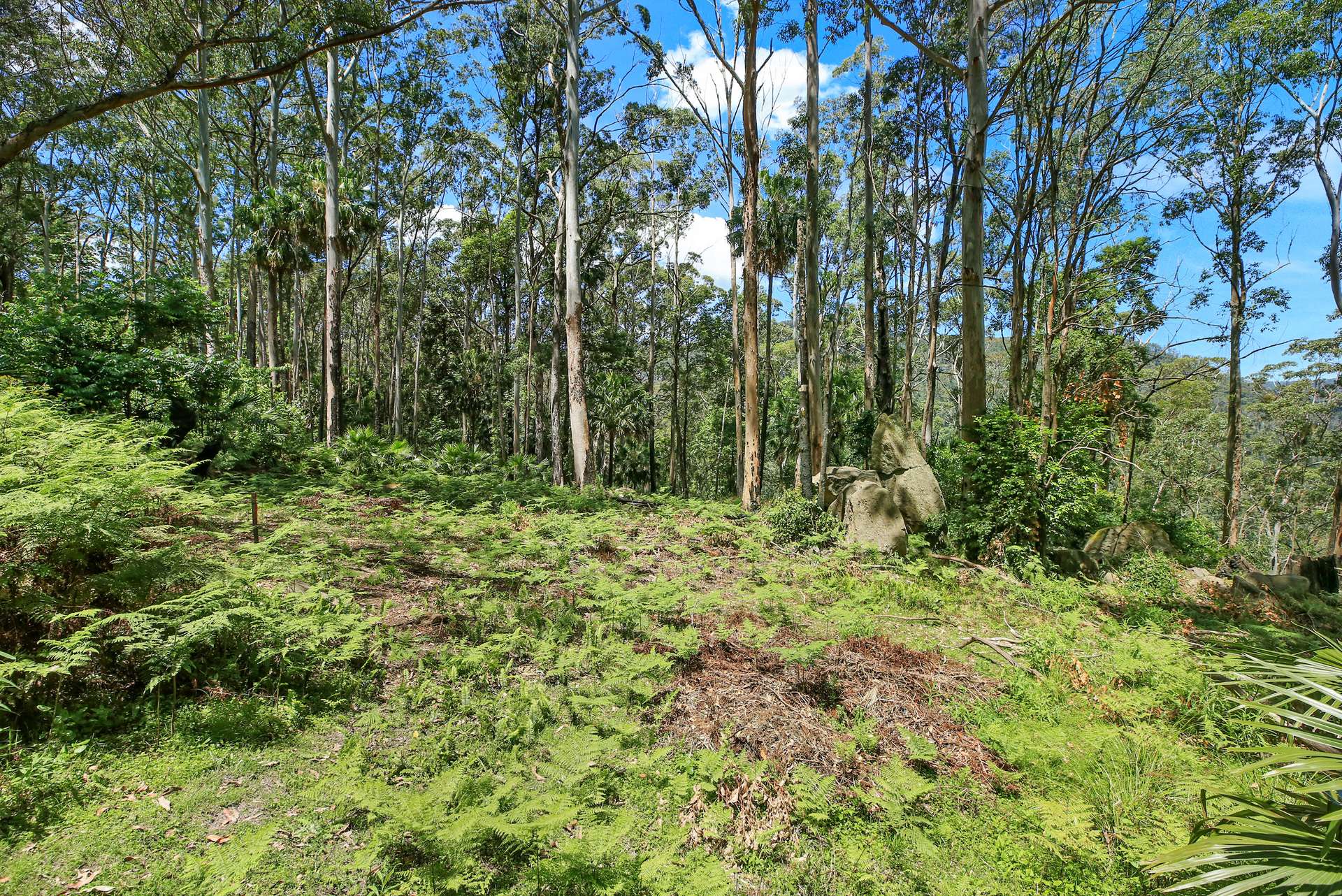 826 Mount Scanzi Road, Kangaroo Valley For Sale by Farmbuy.com - image 3