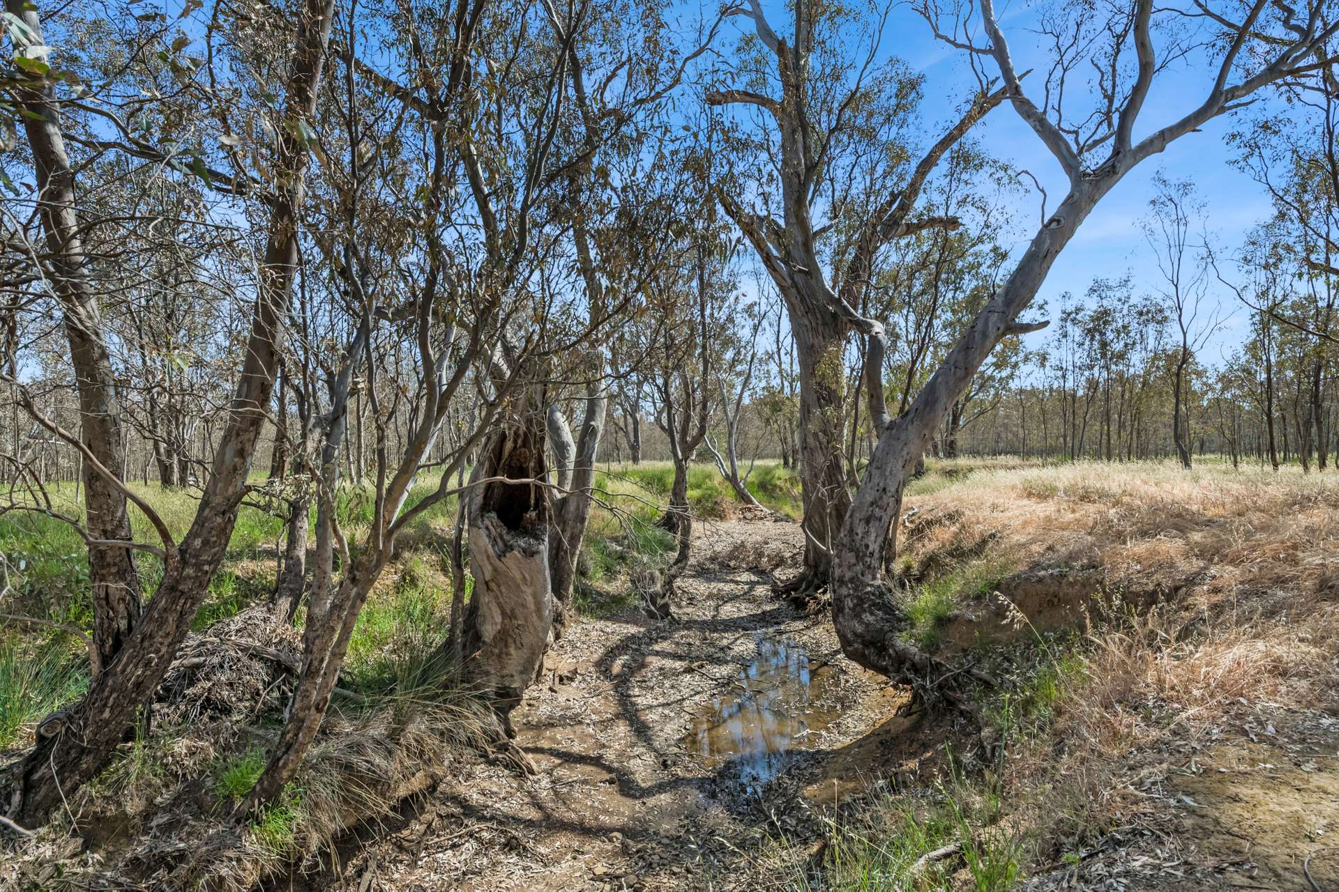 818 Heathcote-Rochester Road, Heathcote Sold by Farmbuy.com - image 9
