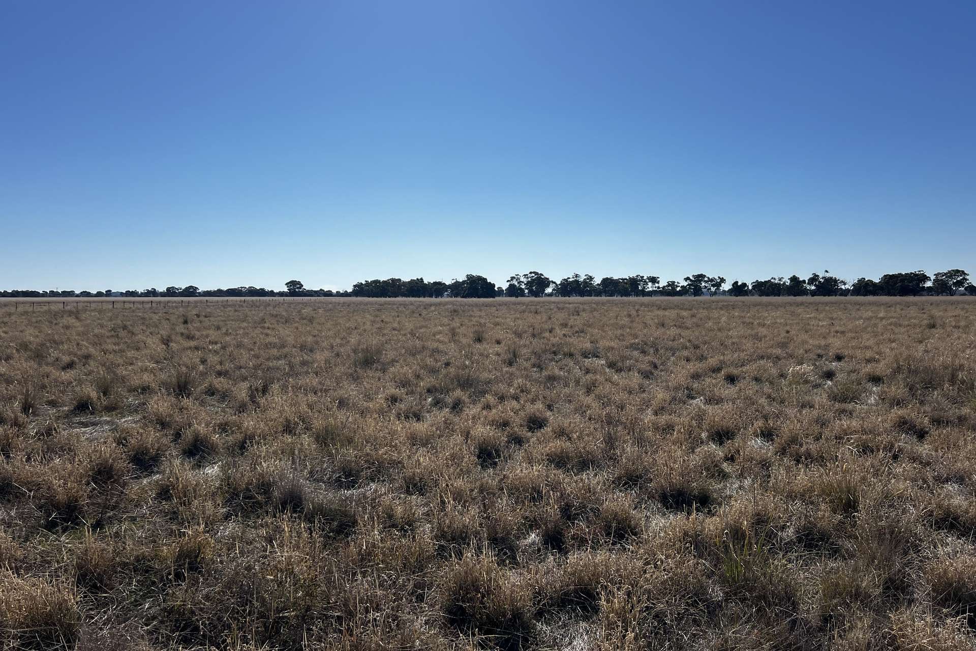 CA 8 Murray Valley Highway, Torrumbarry For Sale by Farmbuy.com - image 2