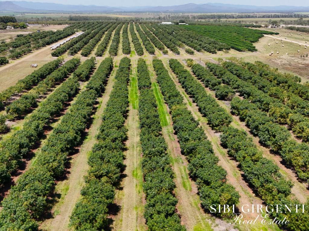 1611 Mareeba-Dimbulah, Arriga QLD 4880