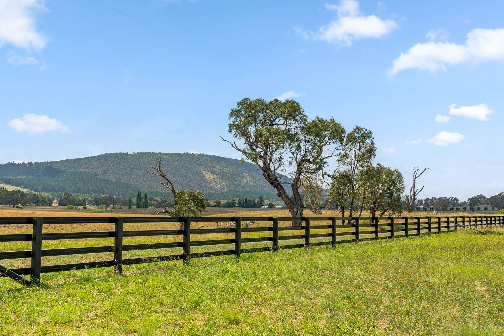14 Avonley Road, Majura Sold by Farmbuy.com - image 5