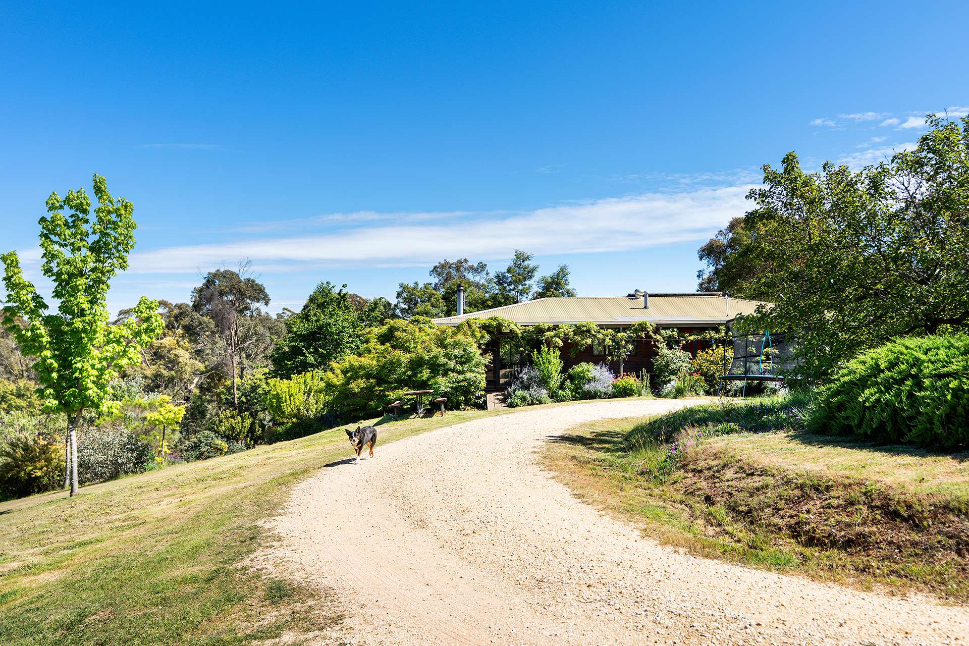 136 Cemetery Road, Elphinstone For Sale by Farmbuy.com - image 16