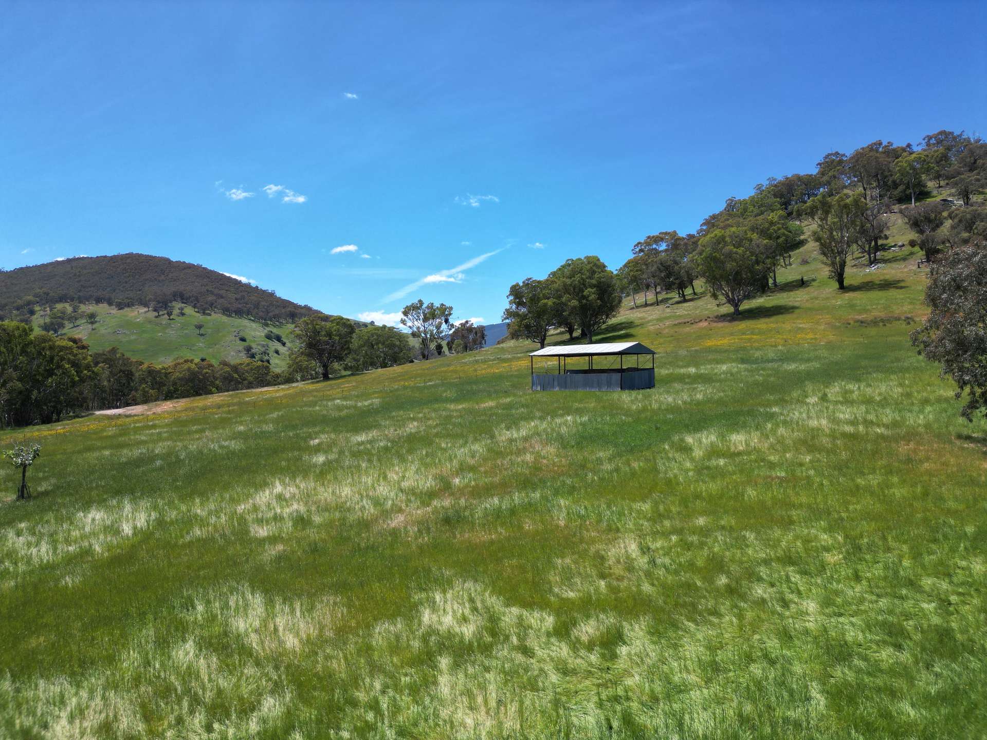 Lot 1, Sec 19, "The Block" Murray Valley Highway, Bullioh For Sale by Farmbuy.com - image 10