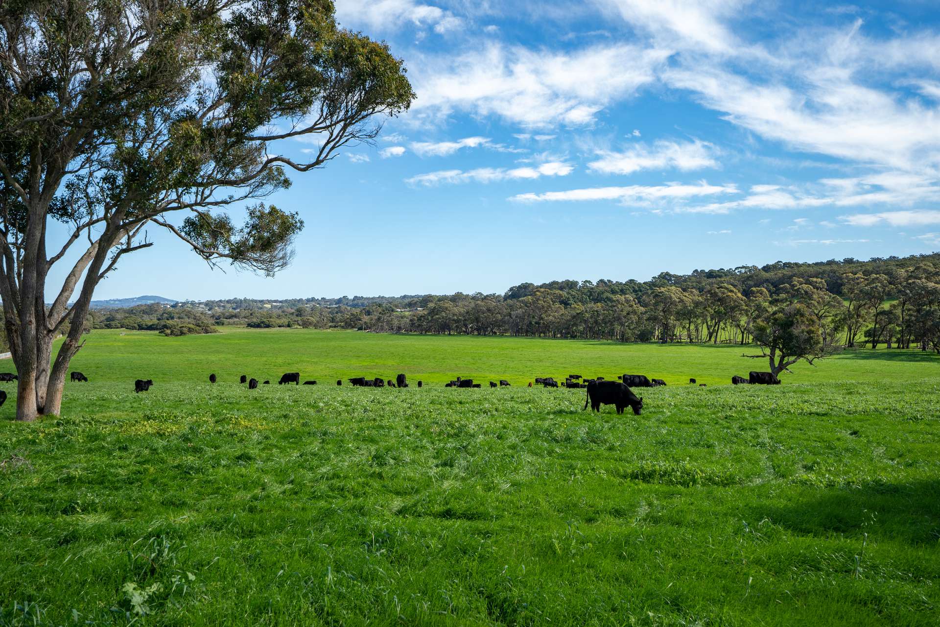 461 Nanarup Road, Kalgan For Sale by Farmbuy.com - image 16