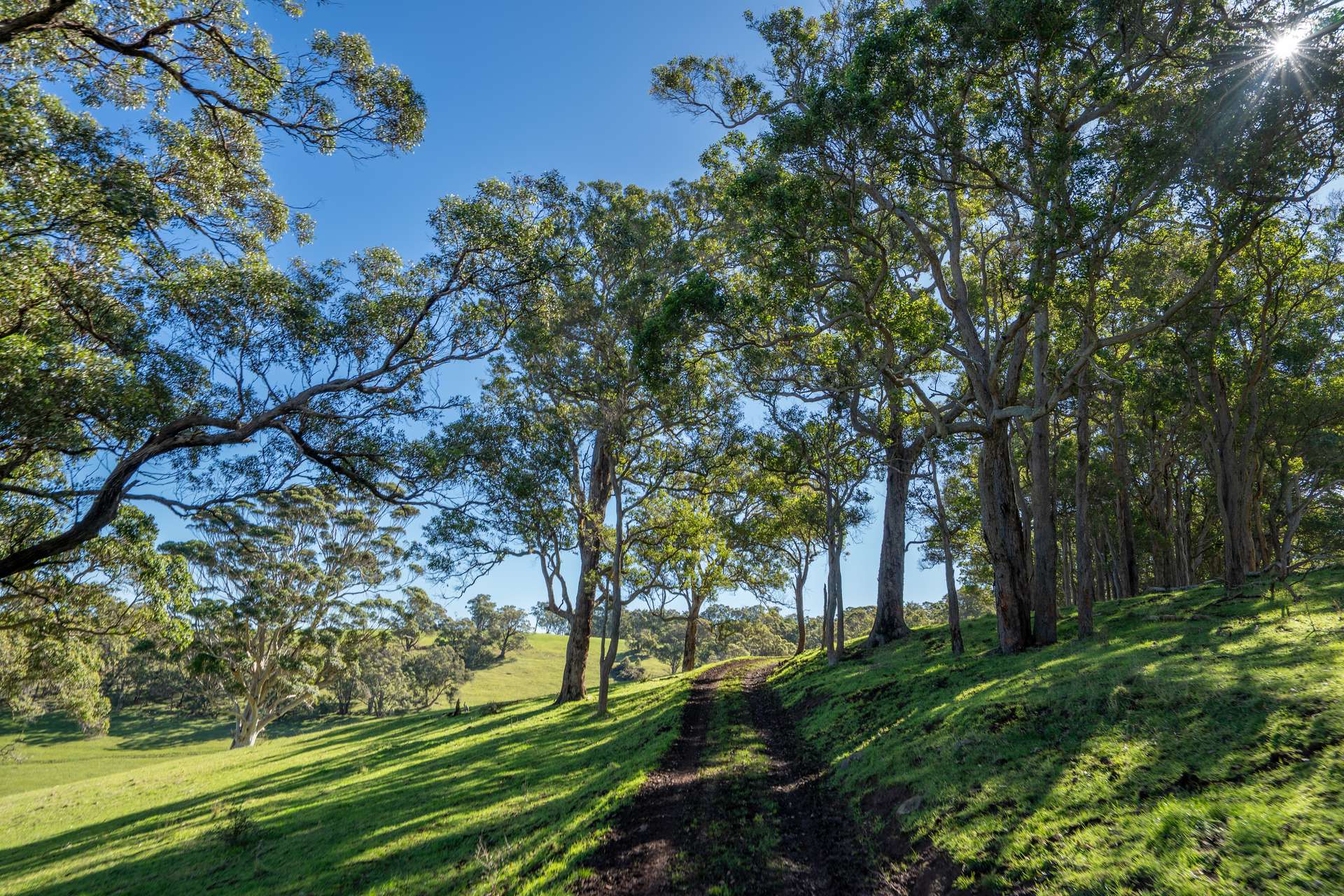 461 Nanarup Road, Kalgan For Sale by Farmbuy.com - image 15