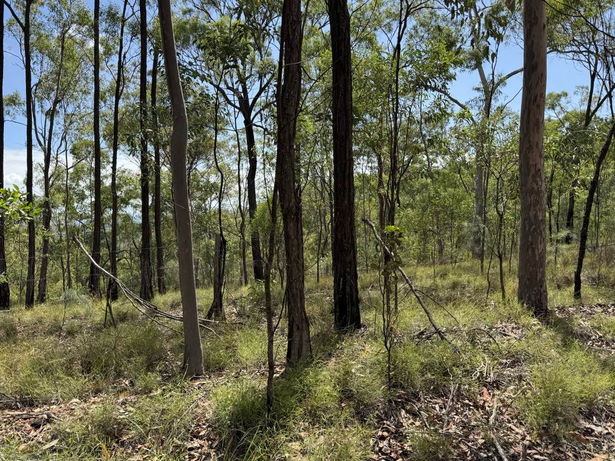 Hurdle Gully Road, Monto For Sale by Farmbuy.com - image 10