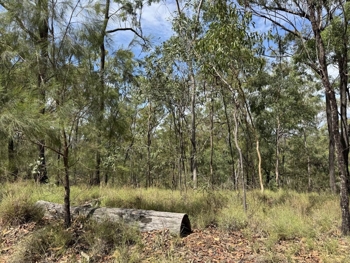 Hurdle Gully Road, Monto For Sale by Farmbuy.com - image 2