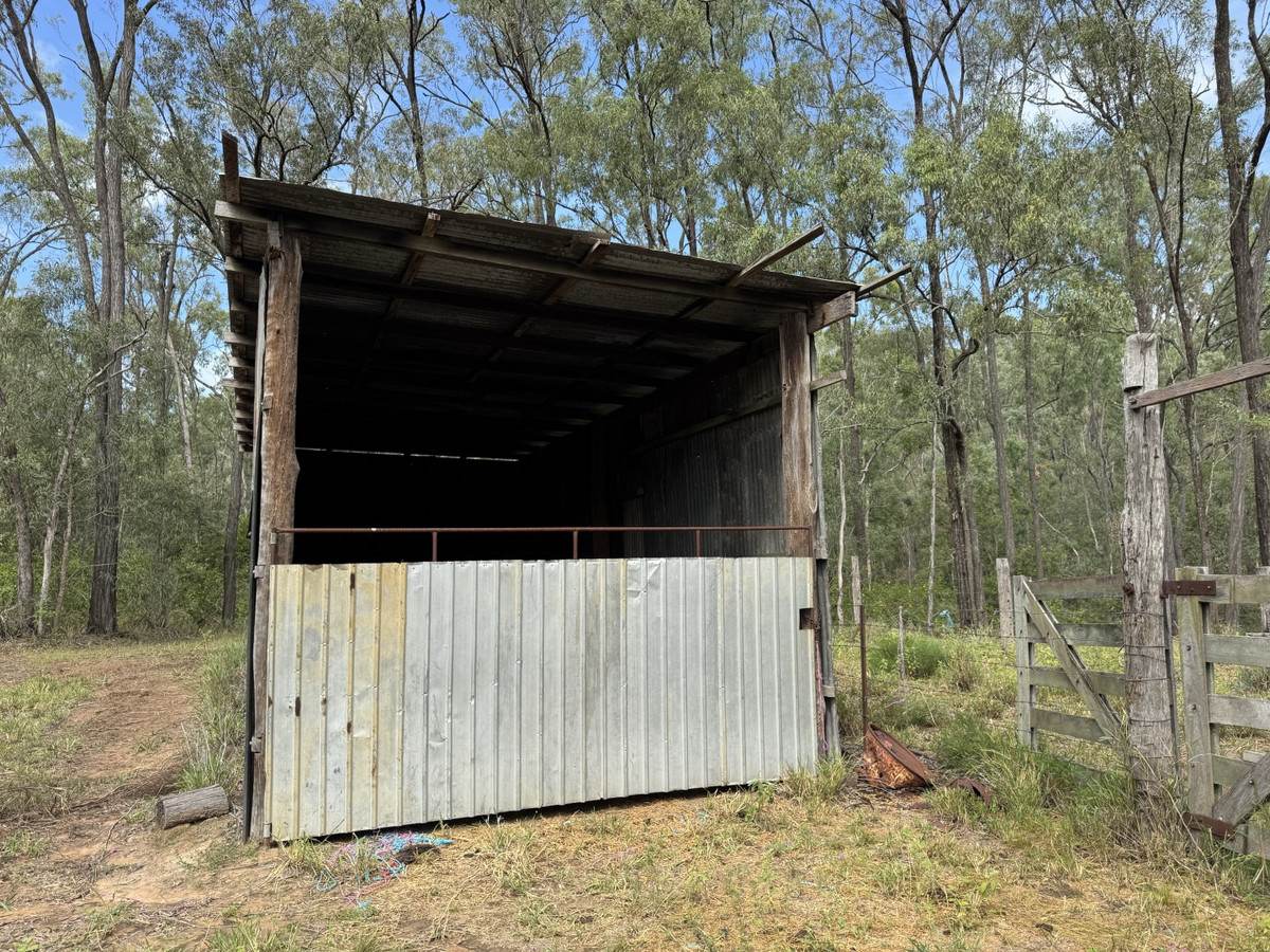 Hurdle Gully Road, Monto For Sale by Farmbuy.com - image 19