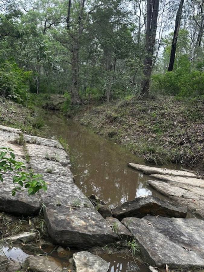 Hurdle Gully Road, Monto For Sale by Farmbuy.com - image 24