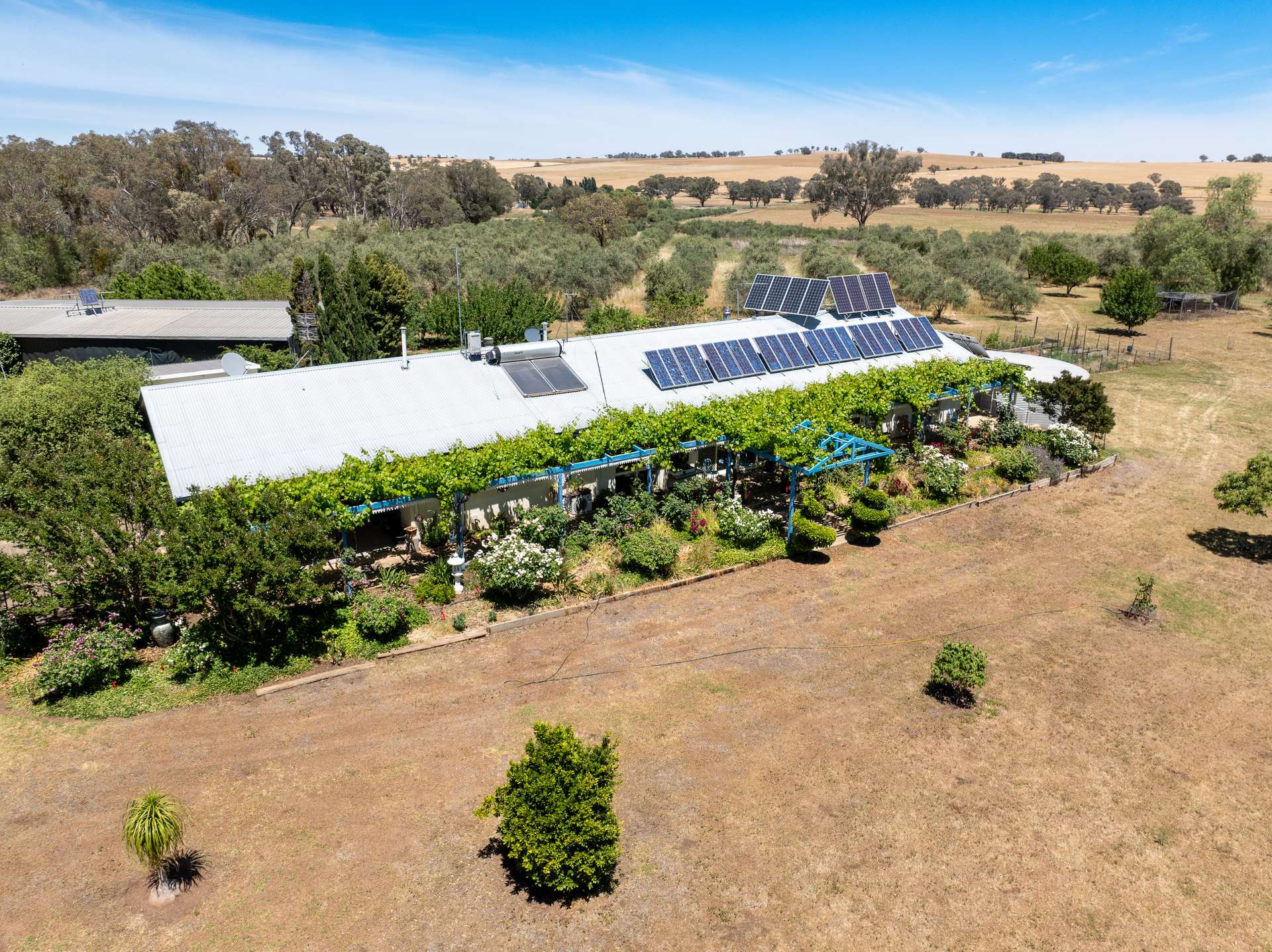 'Cargo Vale' 15 Barragan Road, Cargo Sold by Farmbuy.com - image 2