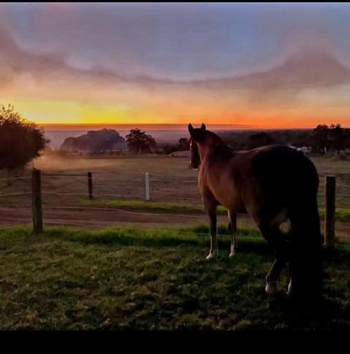 Farm For Sale - WA - Meelon - 6208 - Perfect Lifestyle Property with Coastline Views on 4.25 Hectares 