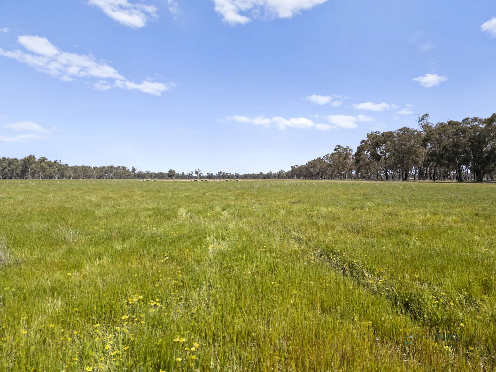 1633 Euroa-Shepparton Road, Miepoll For Sale by Farmbuy.com - image 5