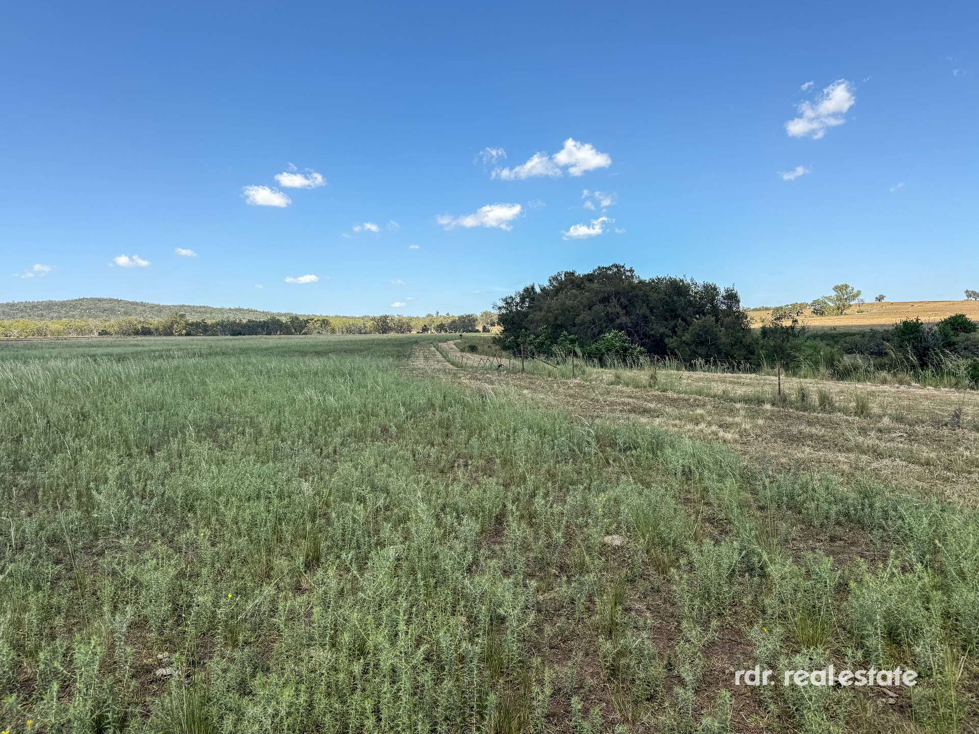 911 Karoola Rd, Graman, Inverell For Sale by Farmbuy.com - image 28