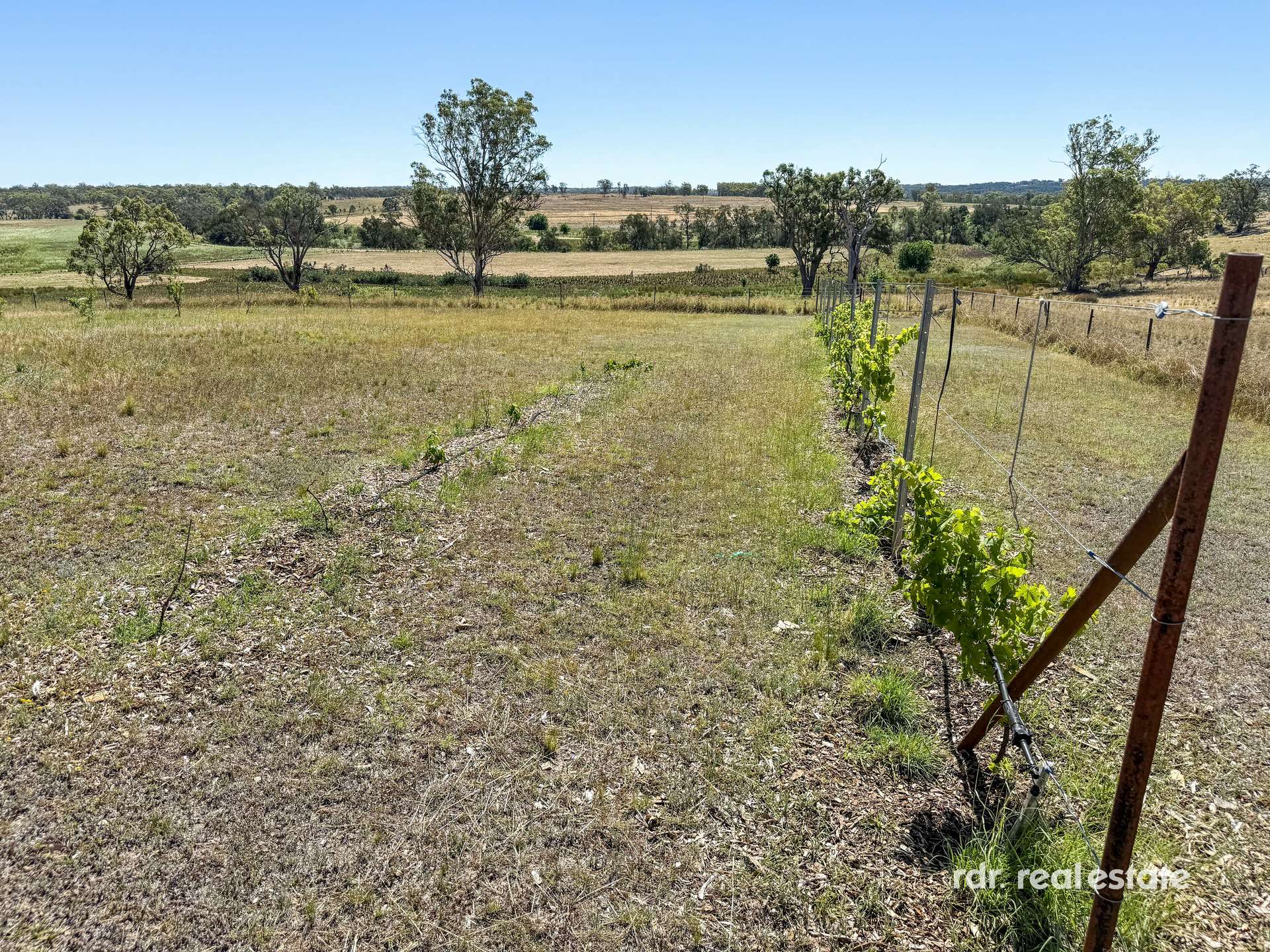 911 Karoola Rd, Graman, Inverell For Sale by Farmbuy.com - image 17