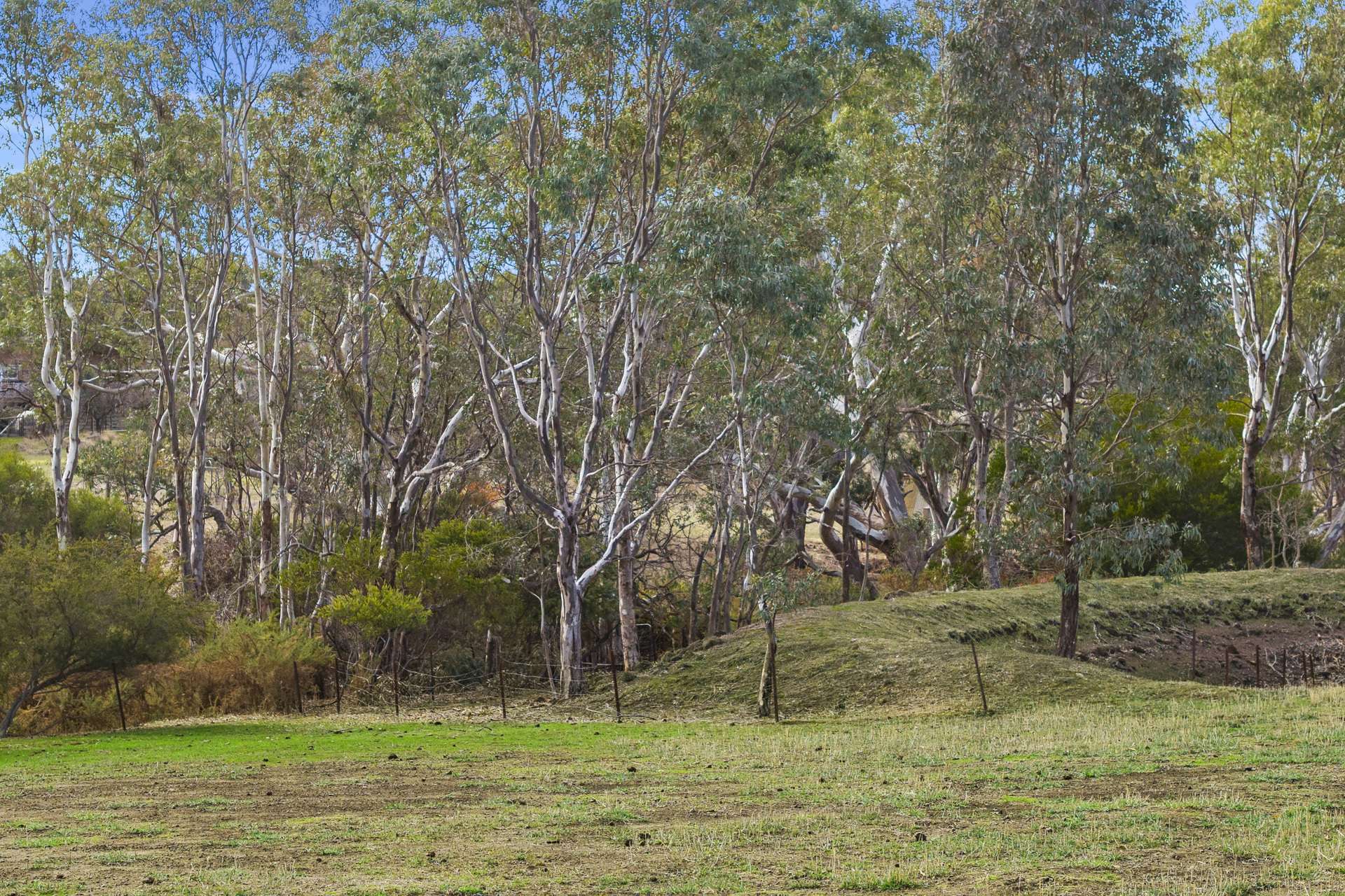 3590 Ballarat-Maryborough Road, Clunes Sold by Farmbuy.com - image 13