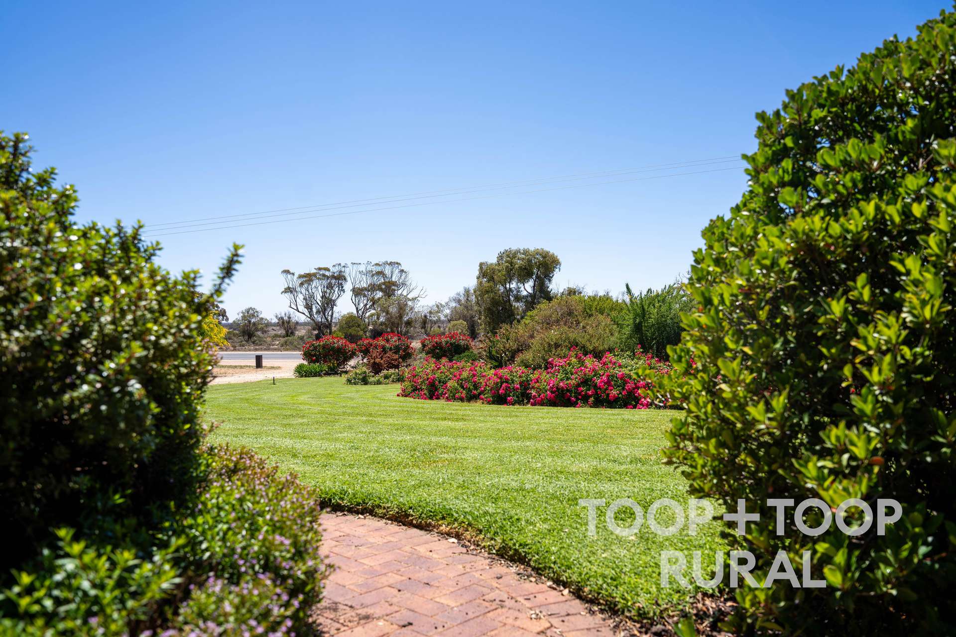 4457 Hunter Road, Nildottie For Sale by Farmbuy.com - image 13