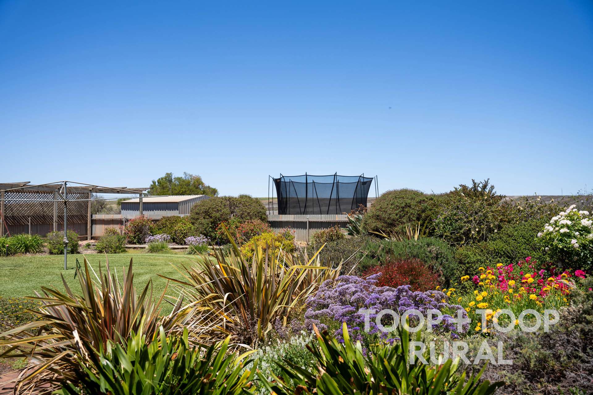 4457 Hunter Road, Nildottie For Sale by Farmbuy.com - image 10