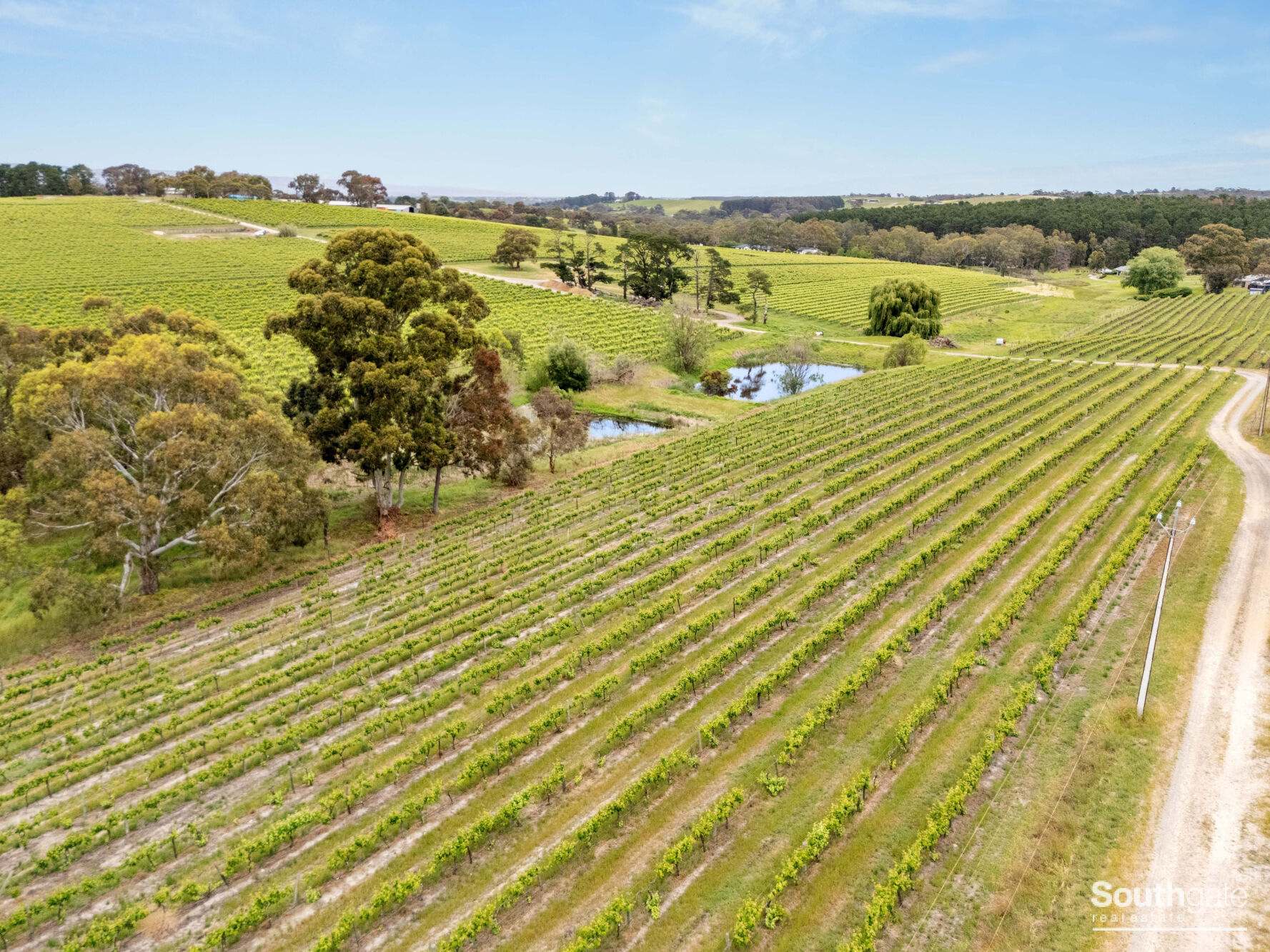 Lot 26 & Lot 200 Blythmans Road, Blewitt Springs For Sale by Farmbuy.com - image 8