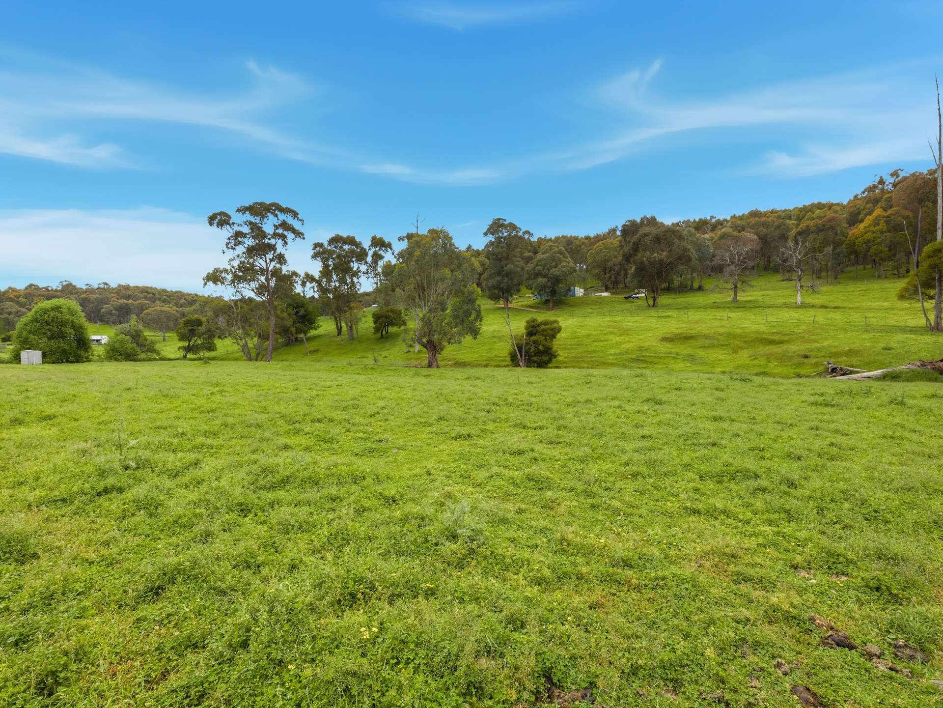 837 Watchbox Creek Road, Molyullah For Sale by Farmbuy.com - image 2