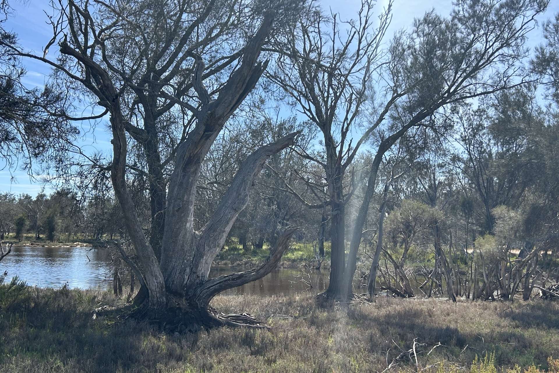 Lot 21 Morrell Road, Arthur River For Sale by Farmbuy.com - image 9