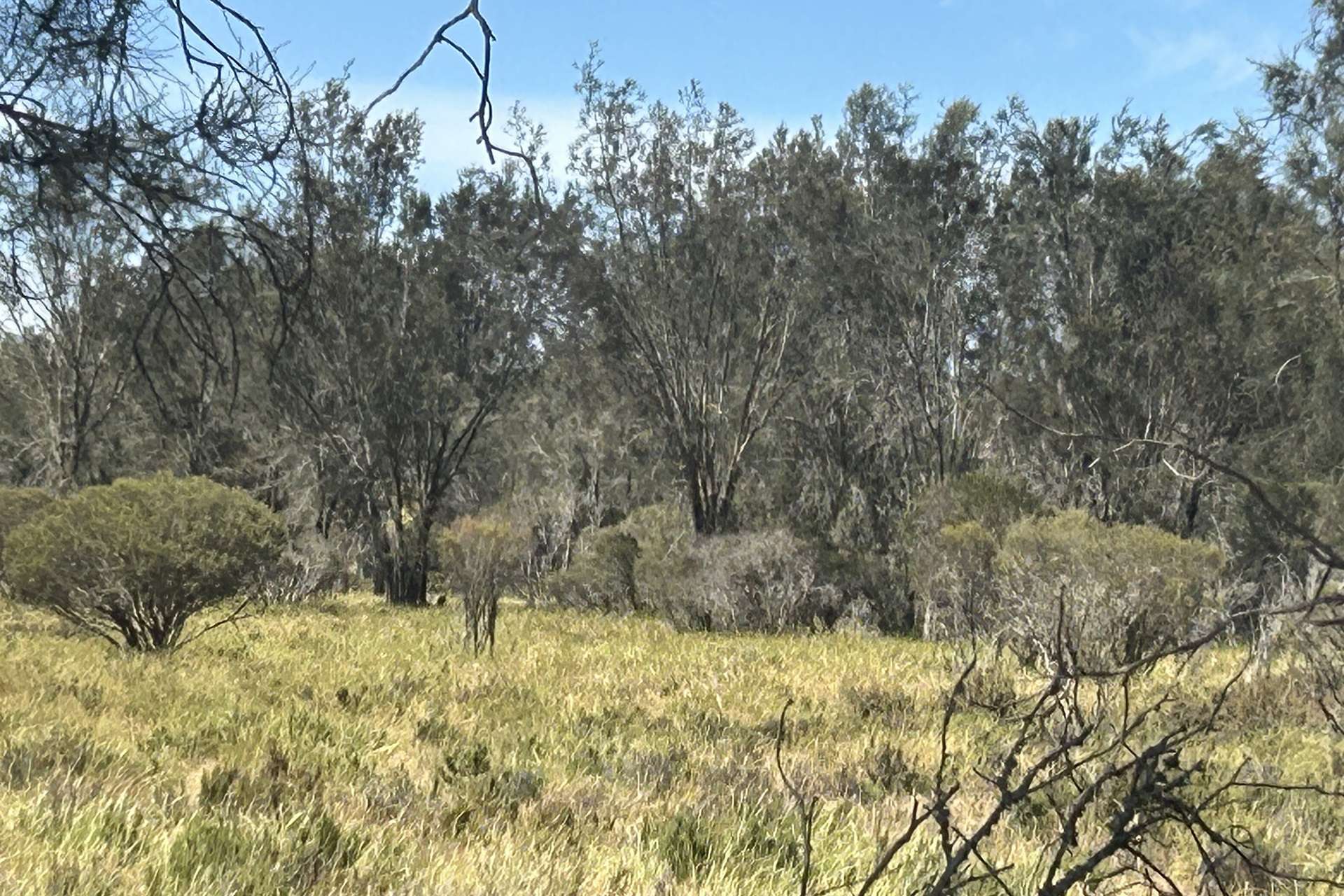 Lot 21 Morrell Road, Arthur River For Sale by Farmbuy.com - image 13