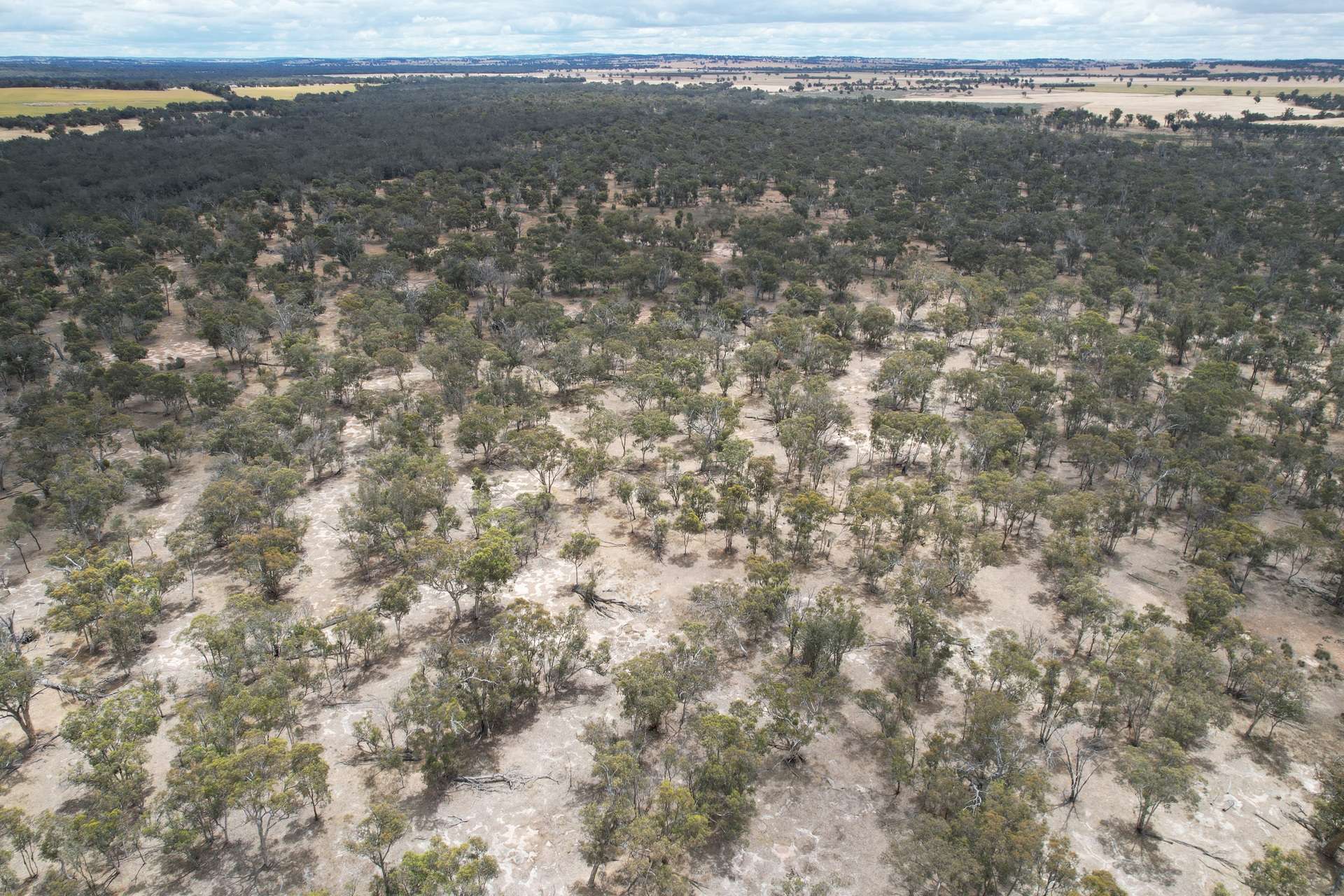 Lot 21 Morrell Road, Arthur River For Sale by Farmbuy.com - image 18