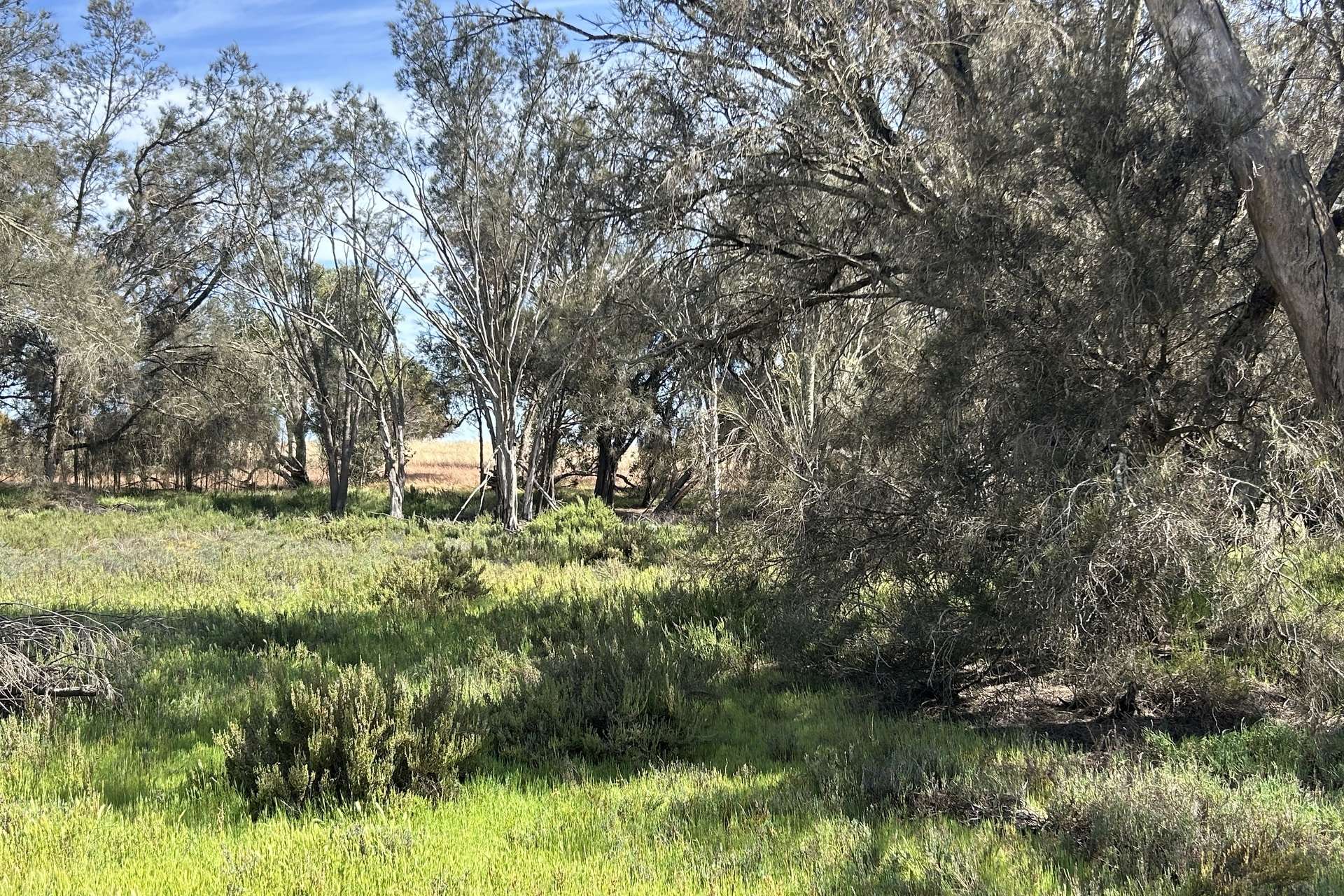 Lot 21 Morrell Road, Arthur River For Sale by Farmbuy.com - image 3