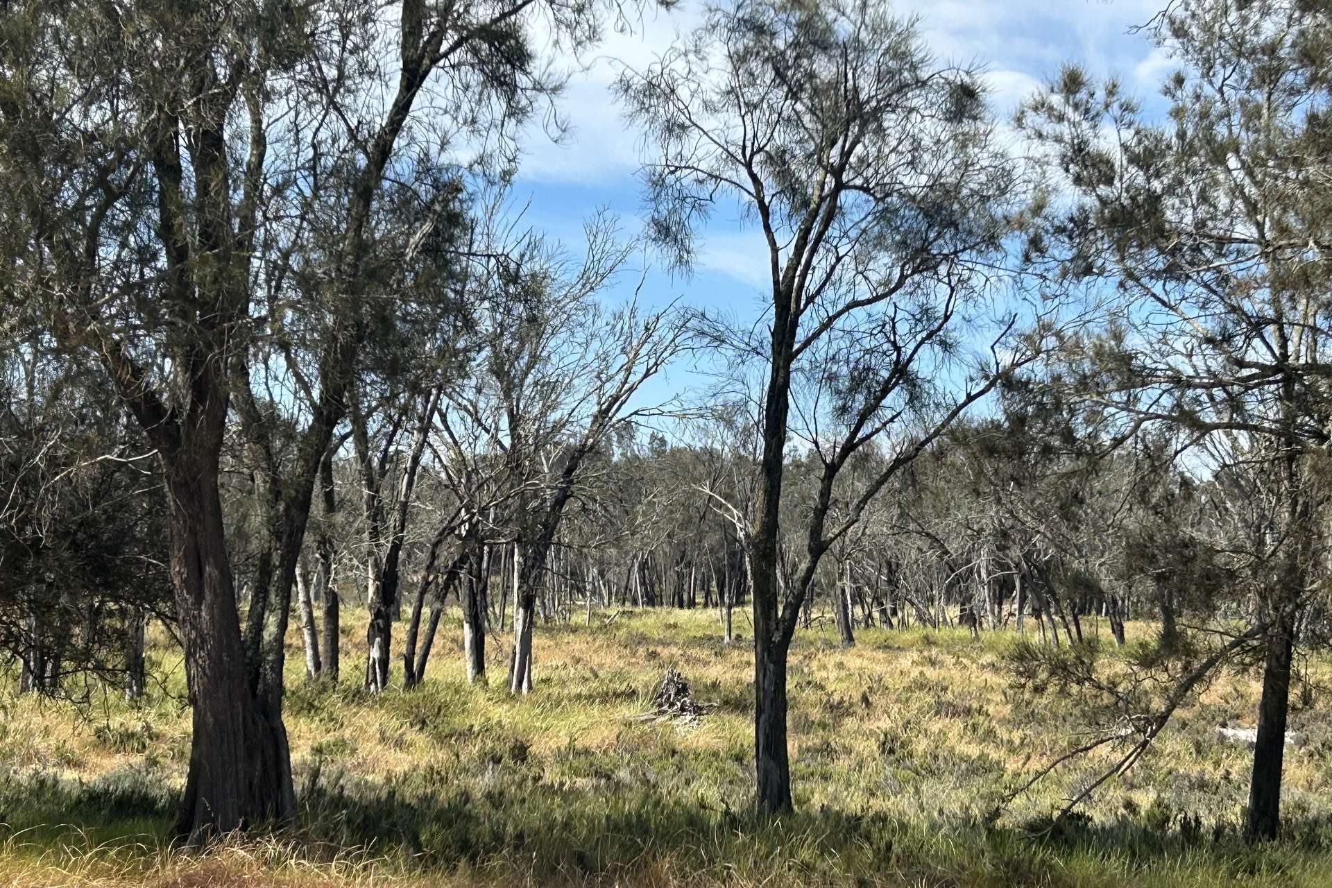 Lot 21 Morrell Road, Arthur River For Sale by Farmbuy.com - image 11