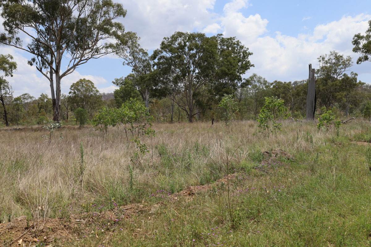 Lot 6 Rocky Creek Road, Monto Sold by Farmbuy.com - image 20