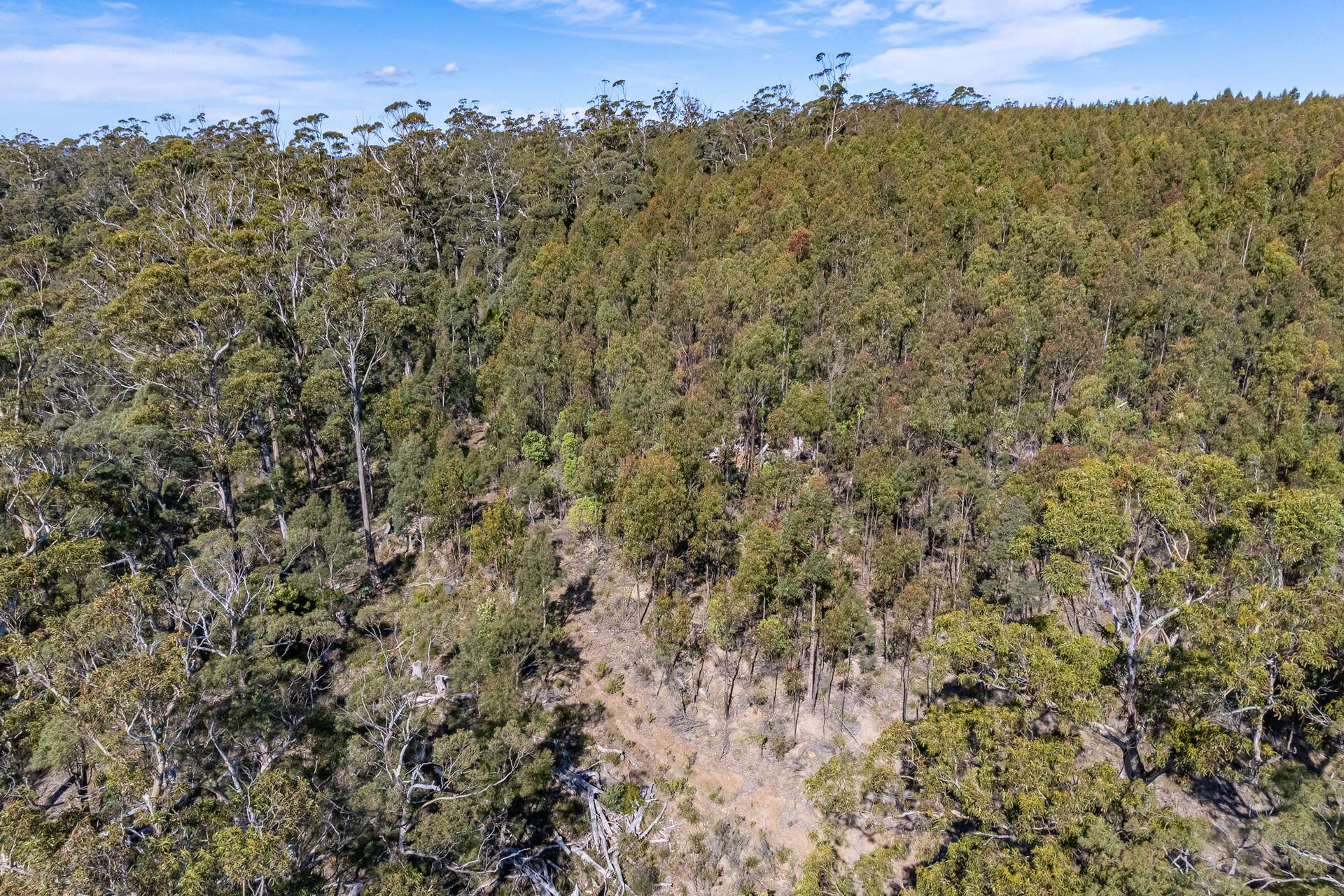 Lot D-E, 493 Hurdle Road, Saltwater River For Sale by Farmbuy.com - image 27