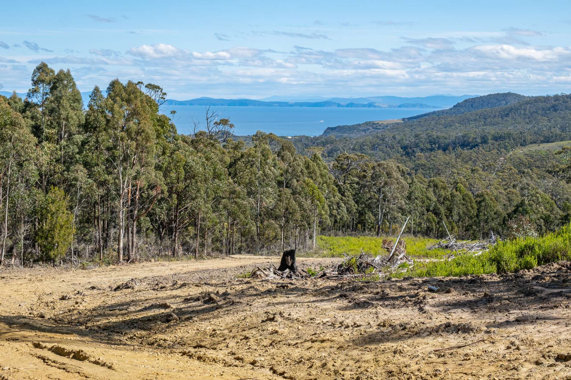 Lot D-E, 493 Hurdle Road, Saltwater River For Sale by Farmbuy.com - image 3