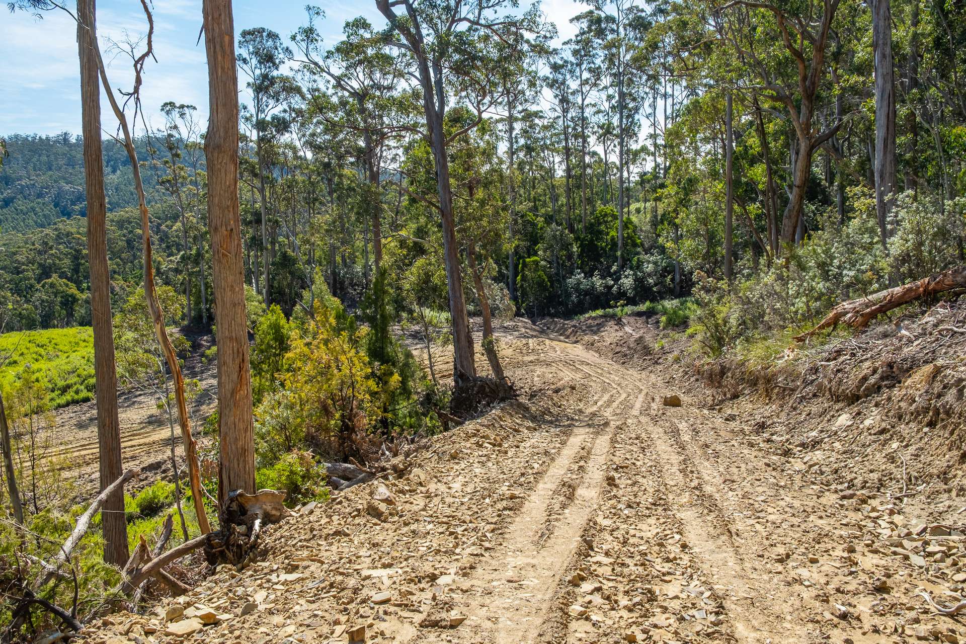 Lot D-E, 493 Hurdle Road, Saltwater River For Sale by Farmbuy.com - image 8